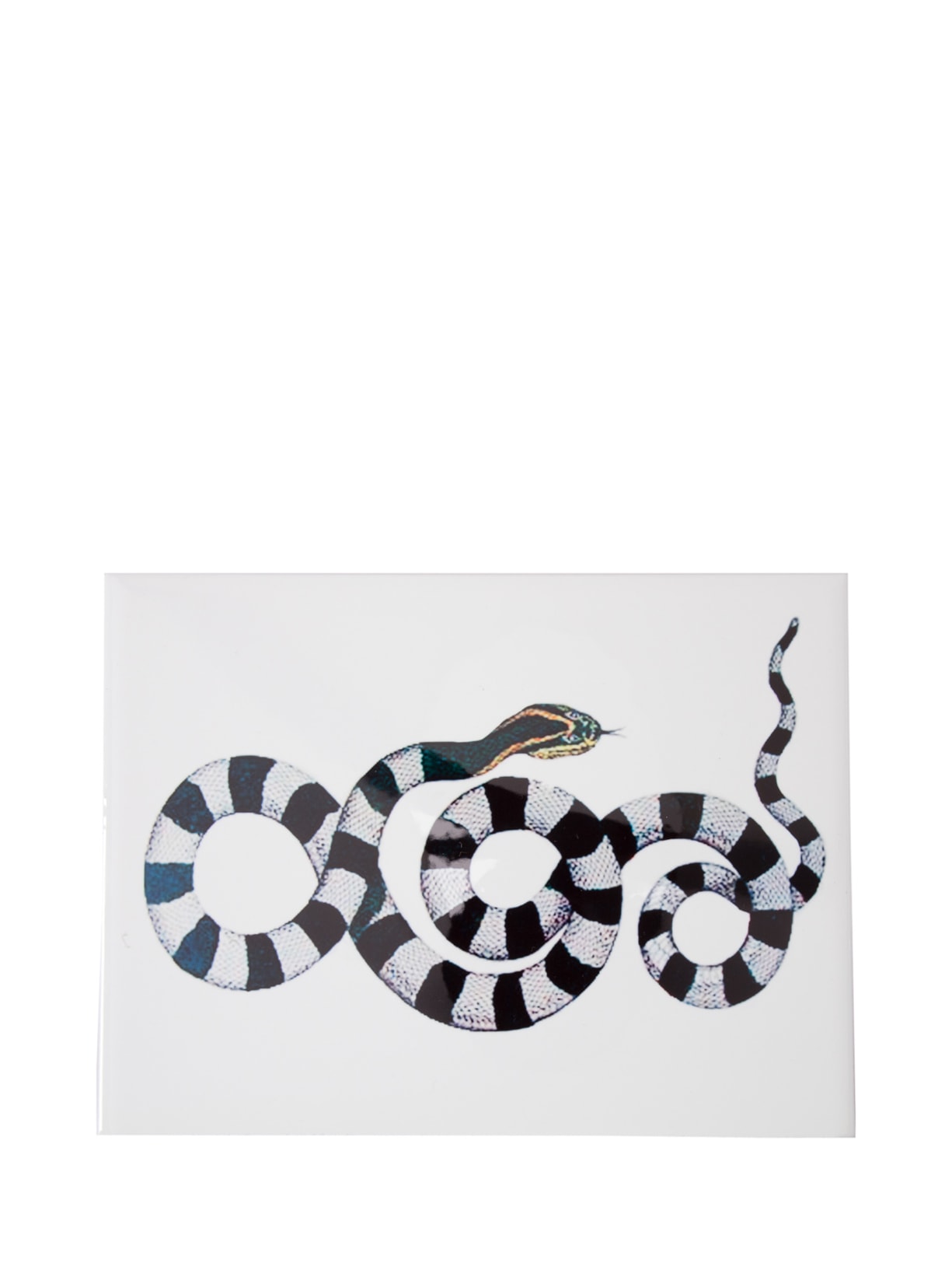 Azulejo Cobra Decorativo Em Cerâmica 1 Peça - Branco