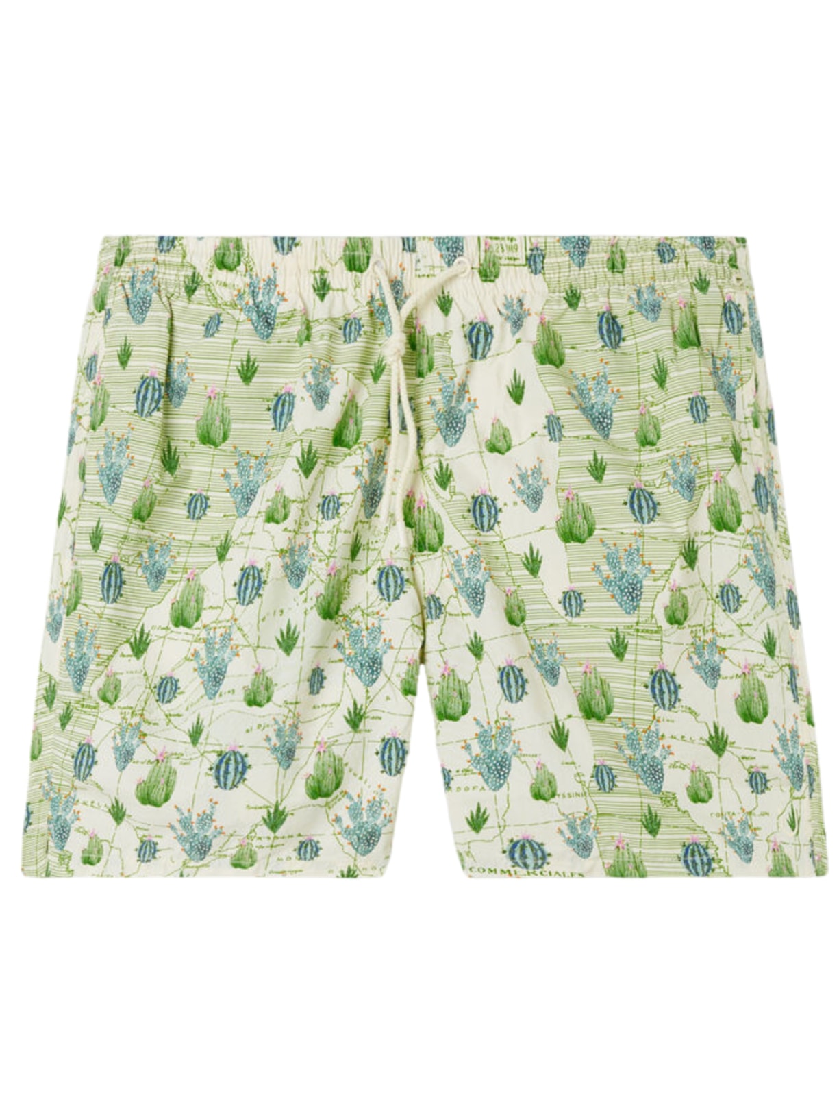 Bermuda De Banho Com Estampa De Cactos - Verde