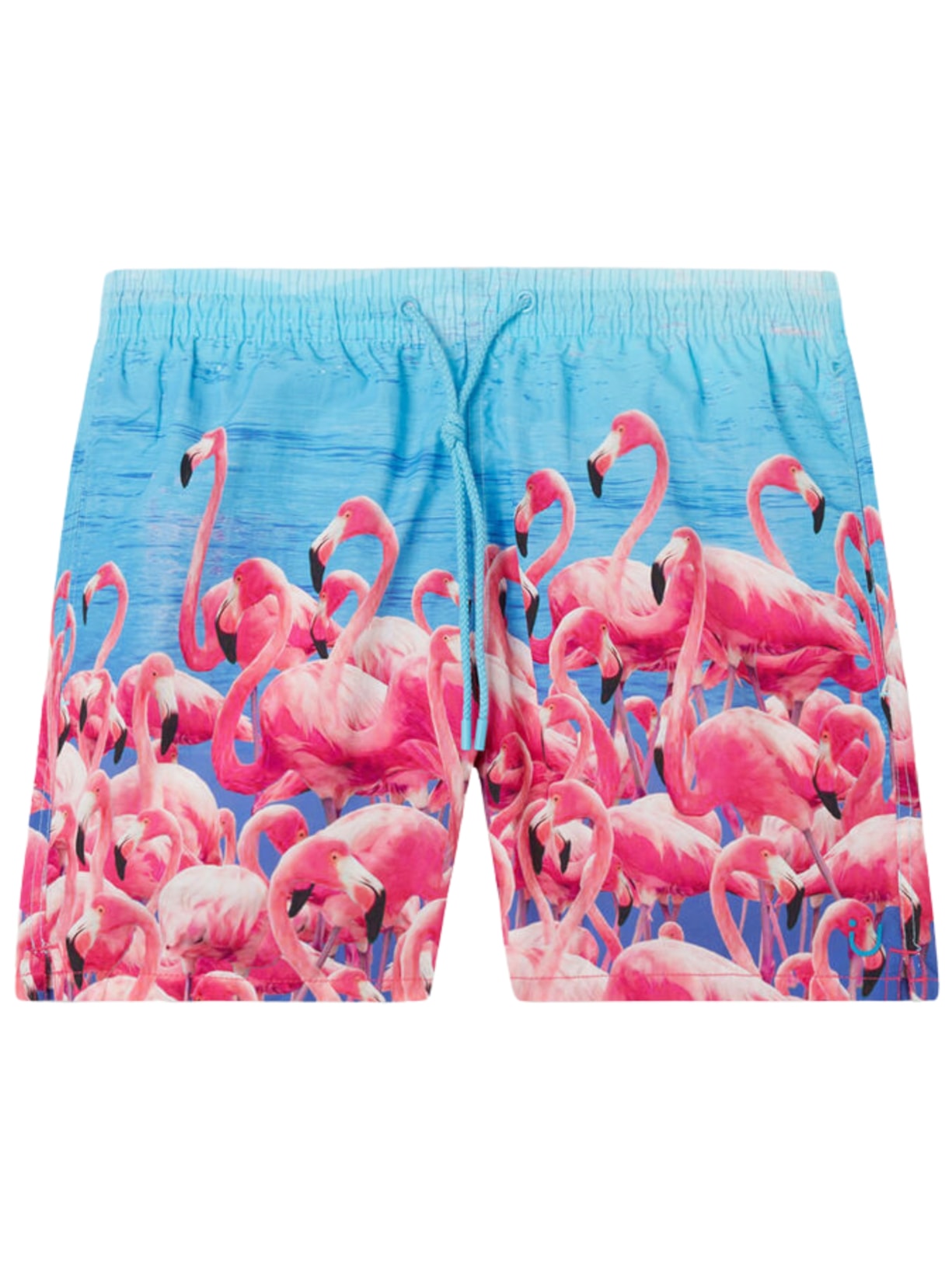 Bermuda De Banho Com Estampa De Flamingos - Azul