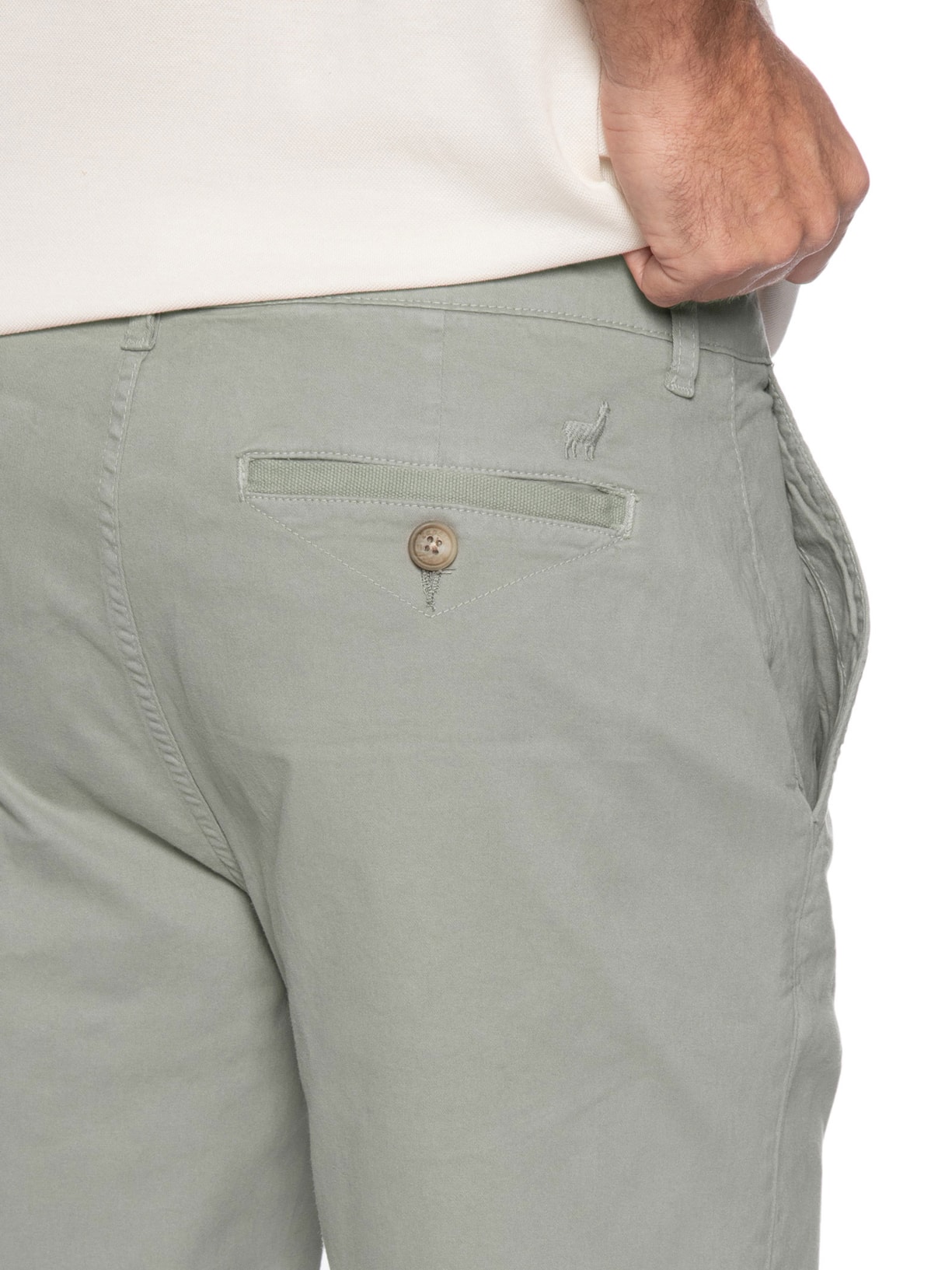 Bermuda Masculina New Chino Bege Zapalla