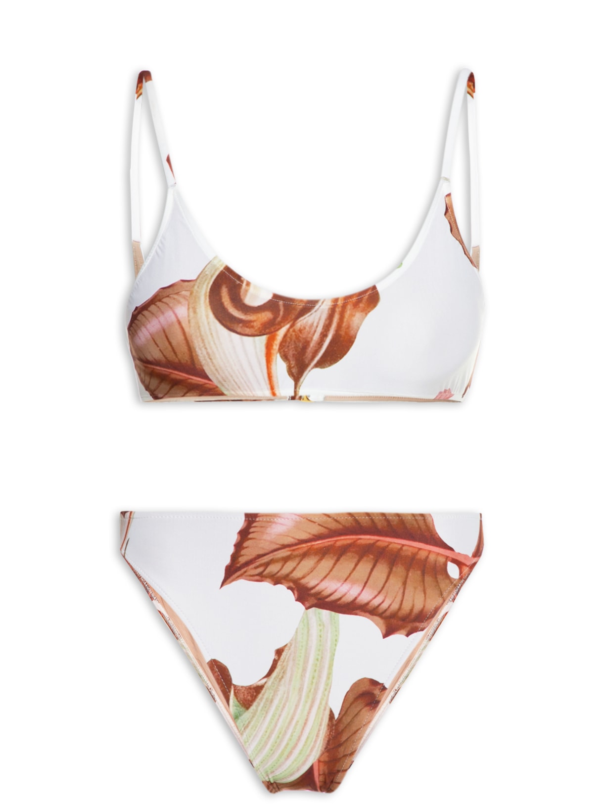 Biquíni Asa Delta E Top Arisaema - Bege