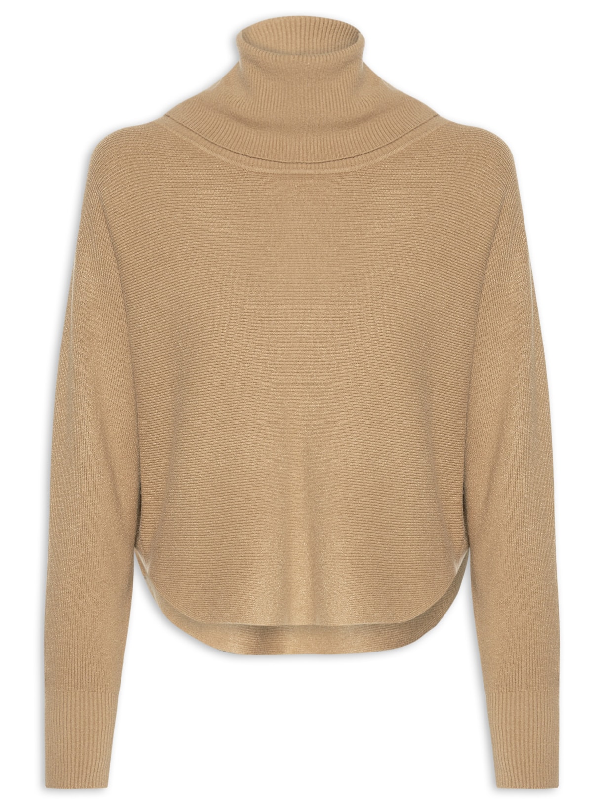 Blusa Feminina de Manga Longa e Gola Alta em Tricot - Marrom