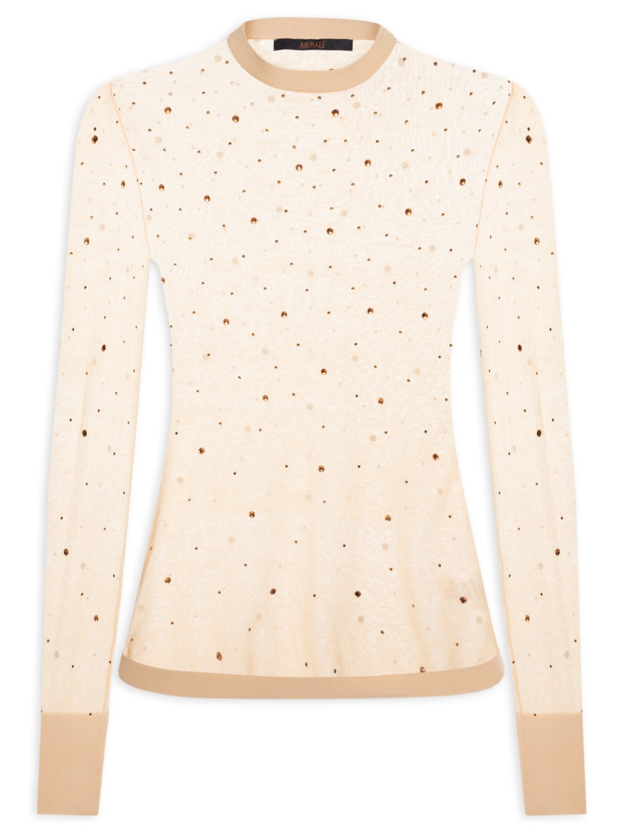 Blusa Feminina de Tricot Transparente Com Hotfix Bege Animale