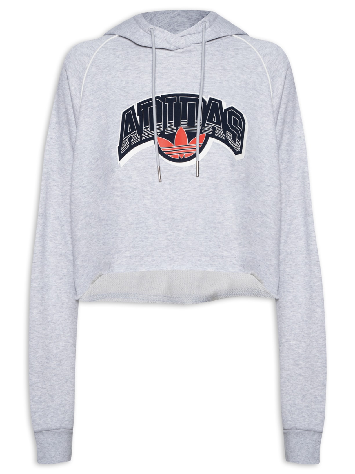 Blusa Feminina Moletom Cs Cropped Com Capuz - Cinza