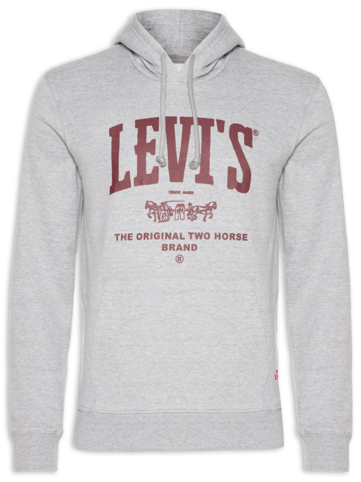 Blusa Masculina Moletom Classic Fit Graphic com Capuz - Cinza