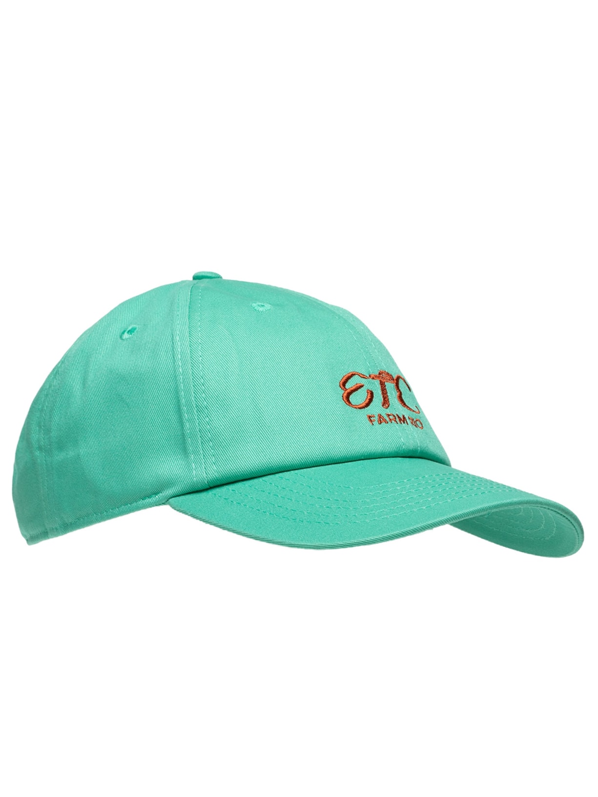 Boné Etc Feminino Azul Farm Etc