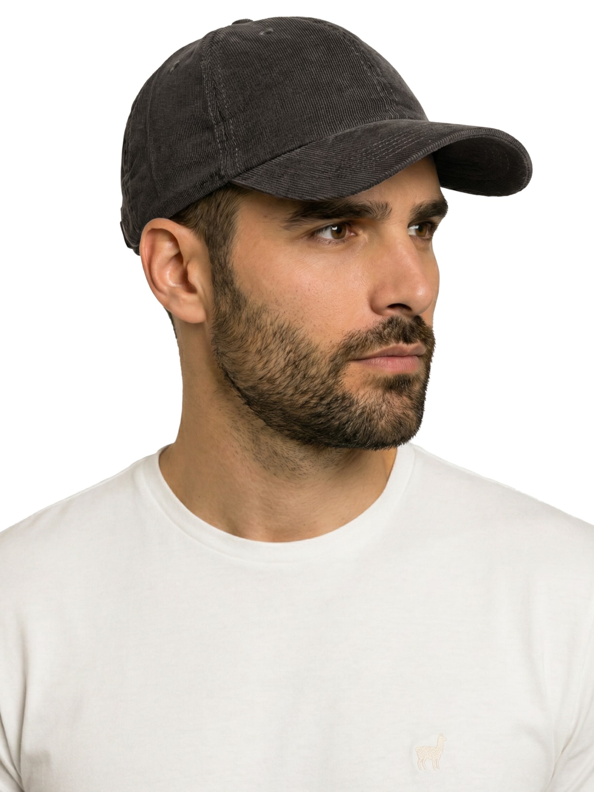 Boné Masculino Em Veludo Cinza Zapalla