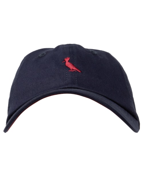 Boné Masculino Sarja Bordado Pica Pau - Azul