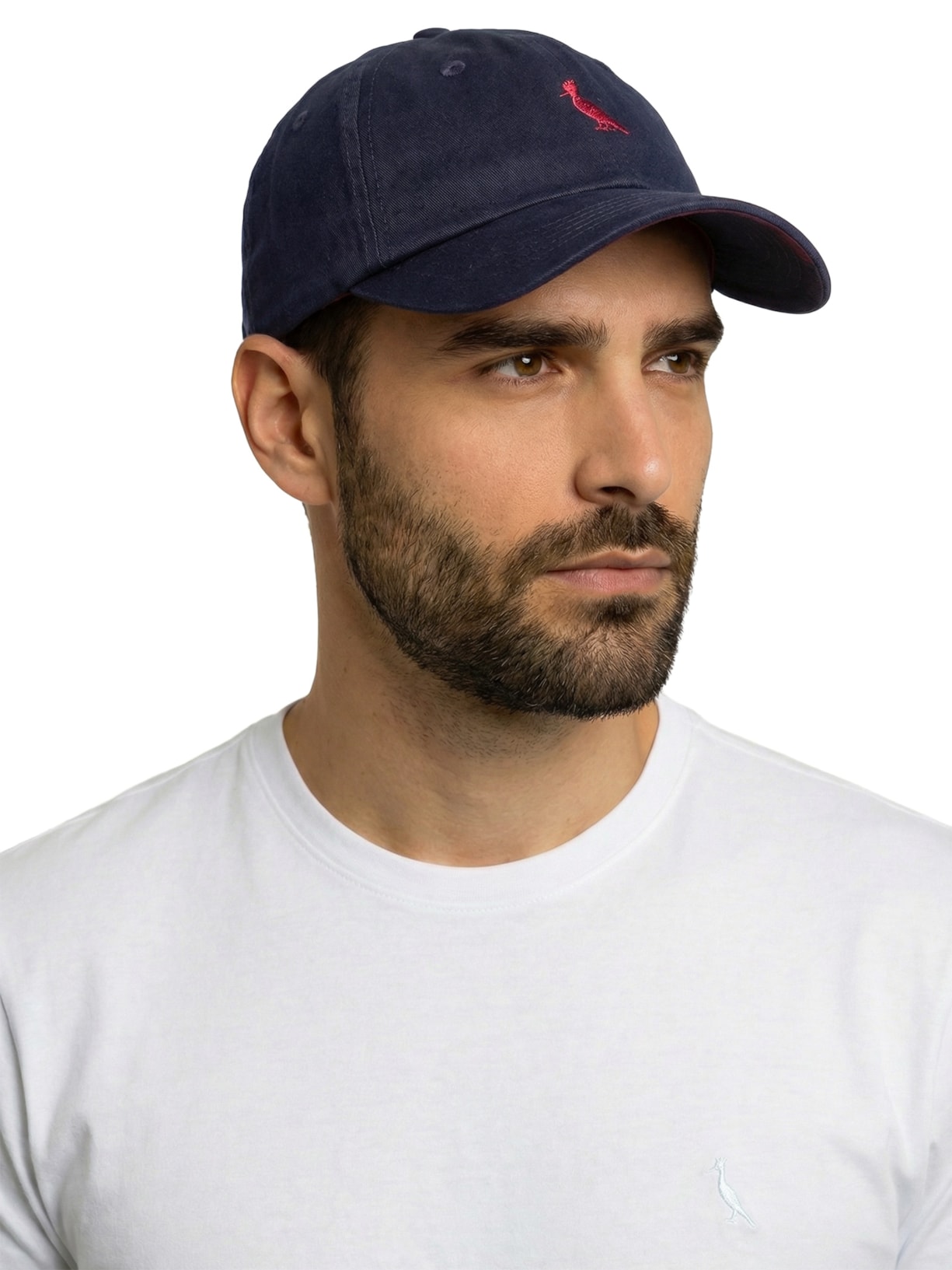 Boné Masculino Sarja Bordado Pica Pau Azul Reserva