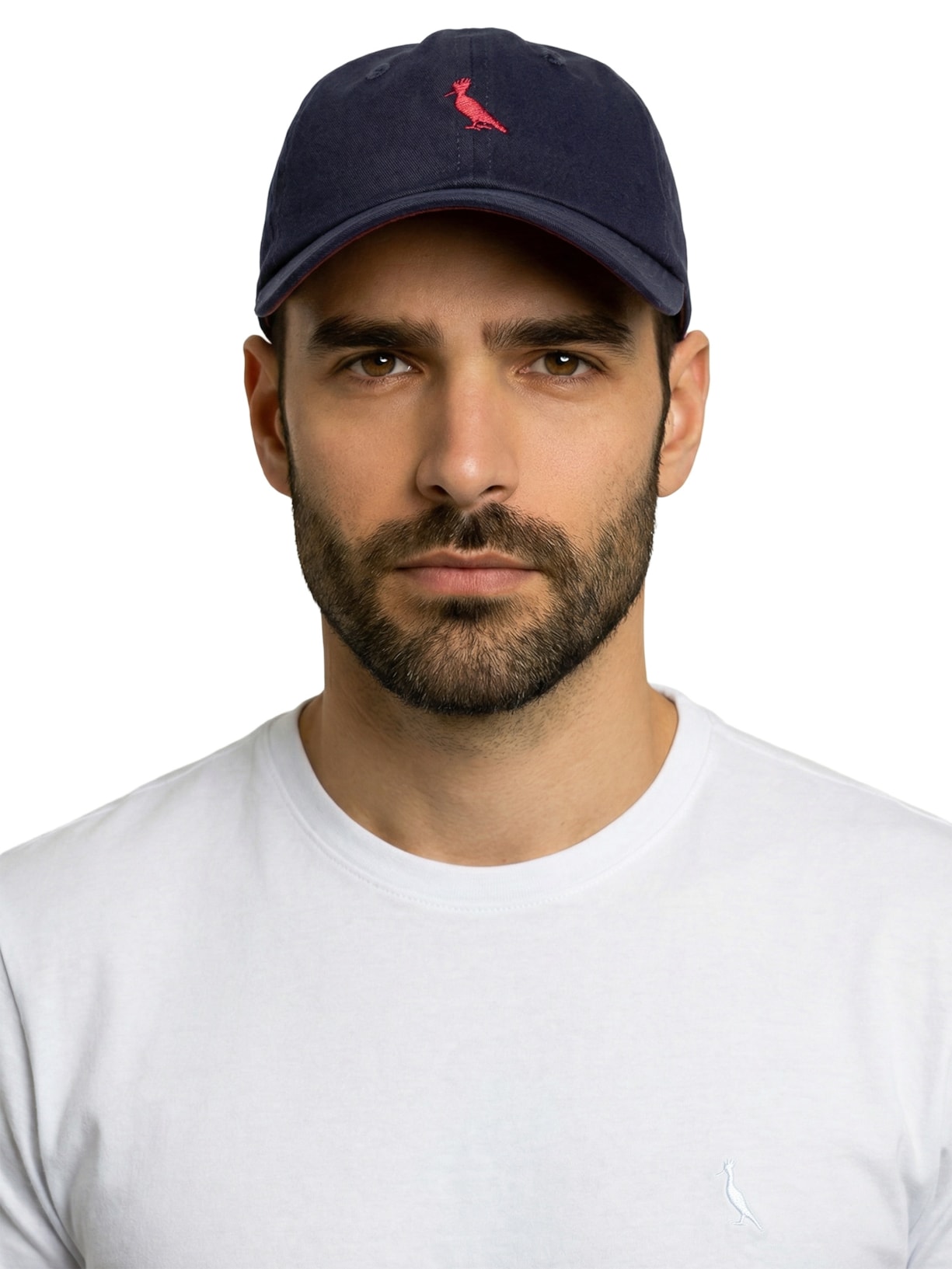 Boné Masculino Sarja Bordado Pica Pau Azul Reserva