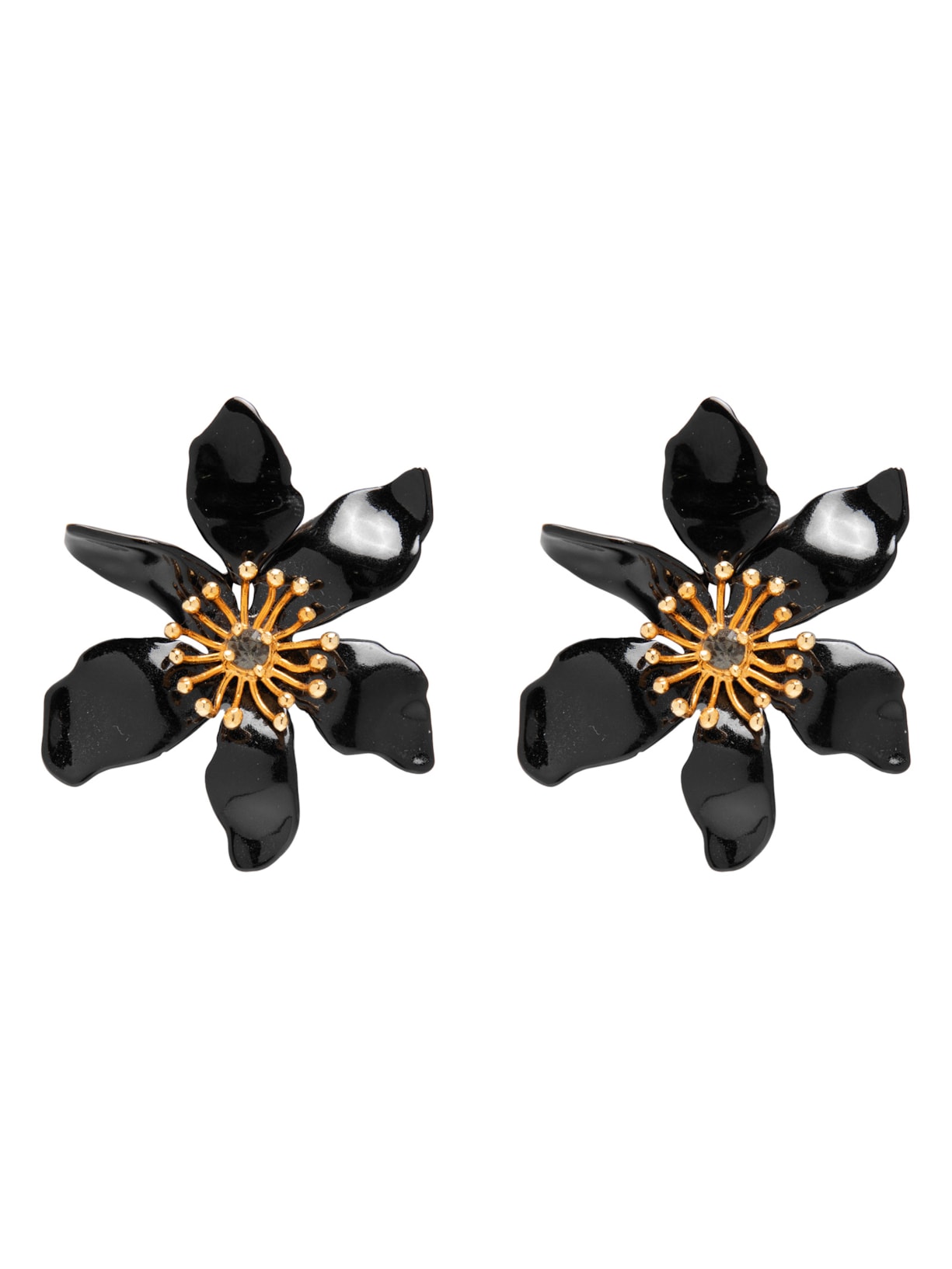 Brinco Feminina Cattleya Pino - Preto