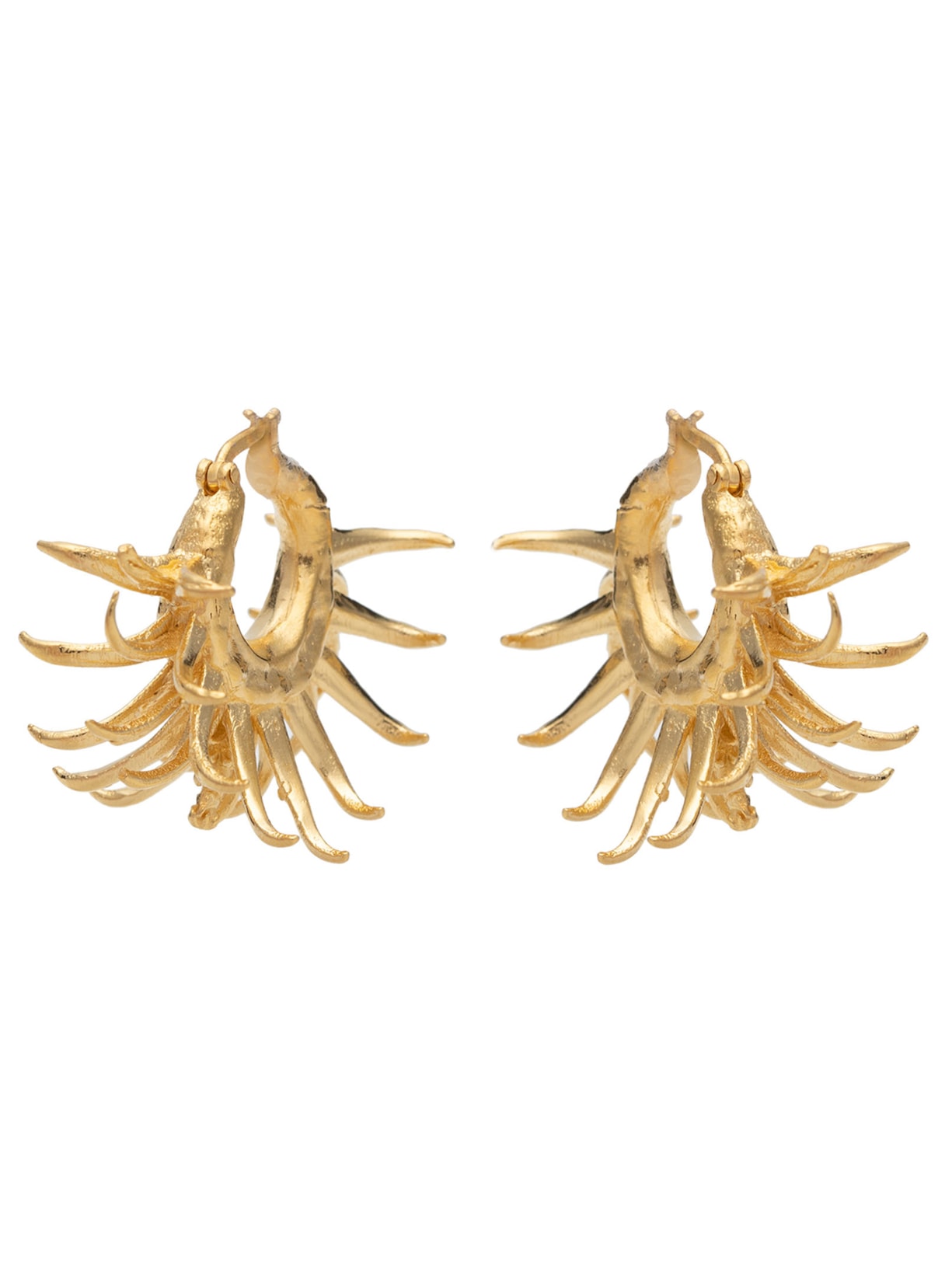 Brinco Feminino Argola Ouriço Dourado Koralle