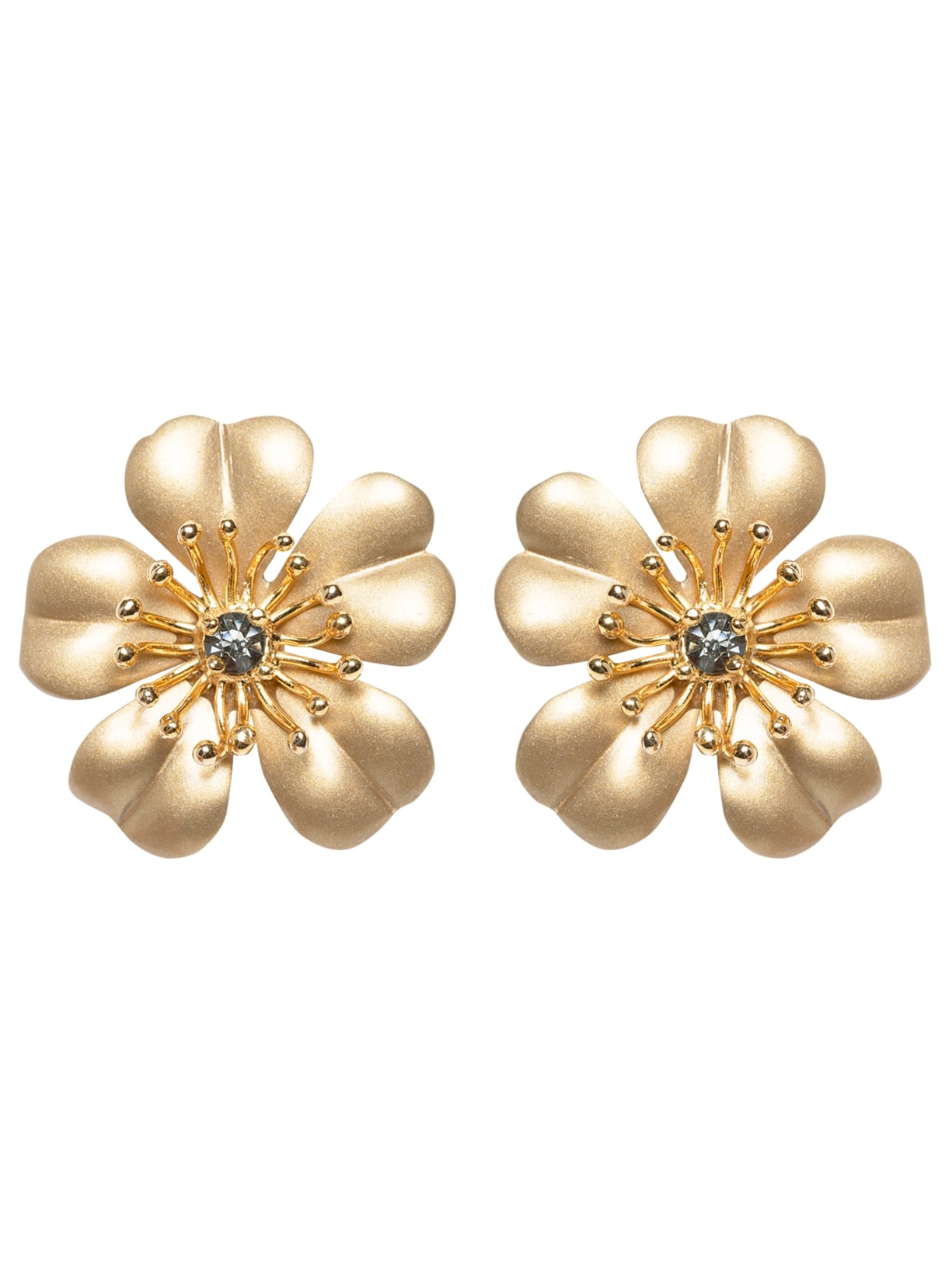 Brinco Feminino Dolcissimo Pino - Dourado