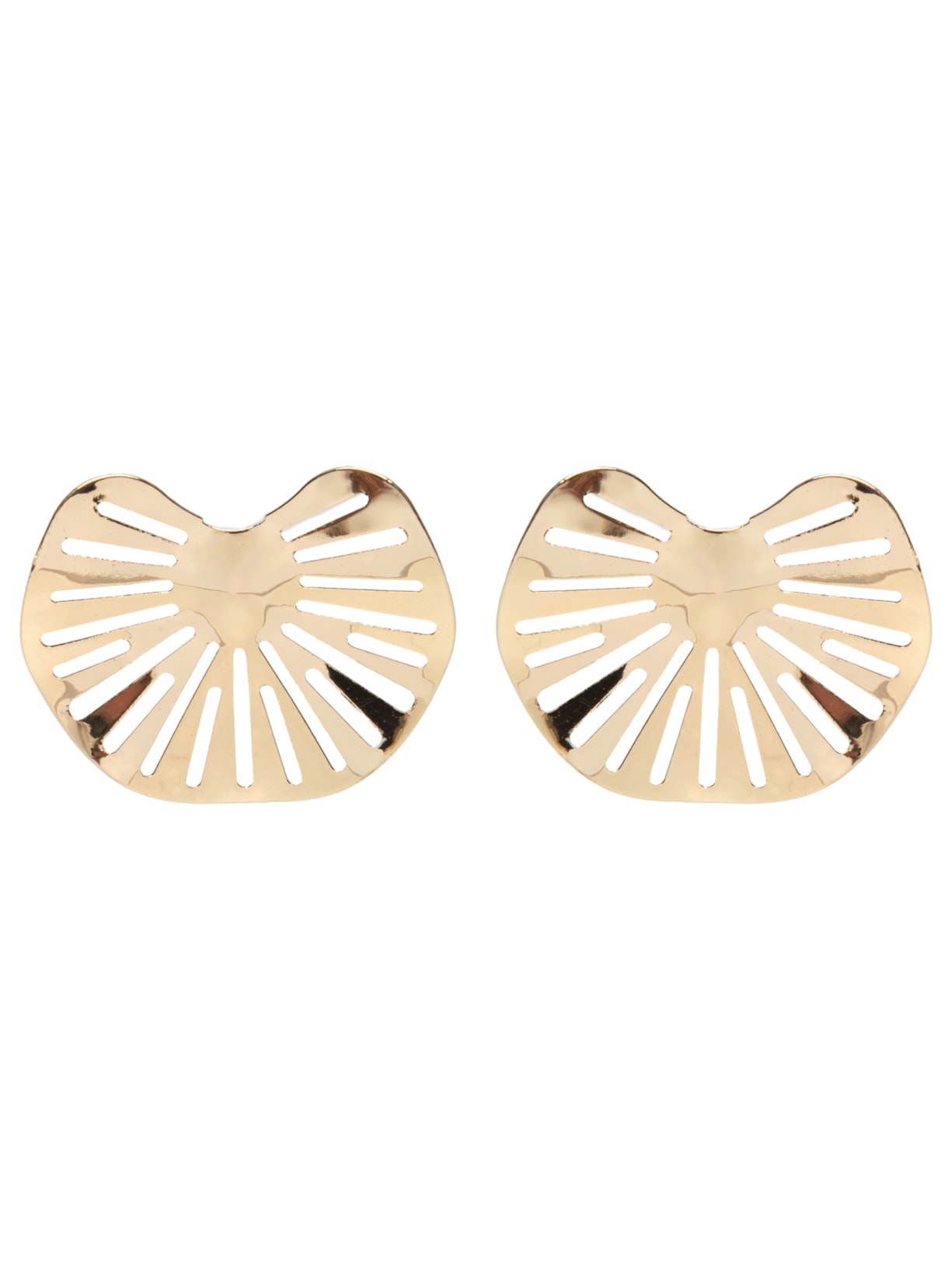 Brinco Feminino Folha Costela De Adão - Dourado