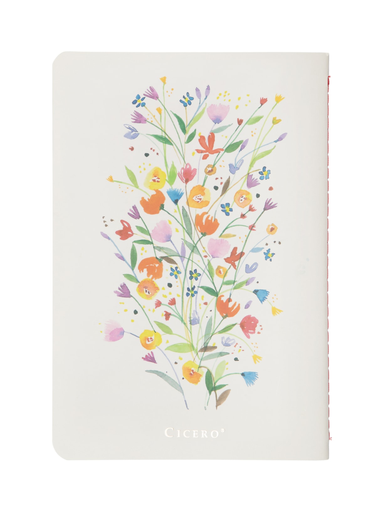 Caderneta Meu Pequeno Jardins Sem Pauta Costela De Eva Branco Cícero Papelaria