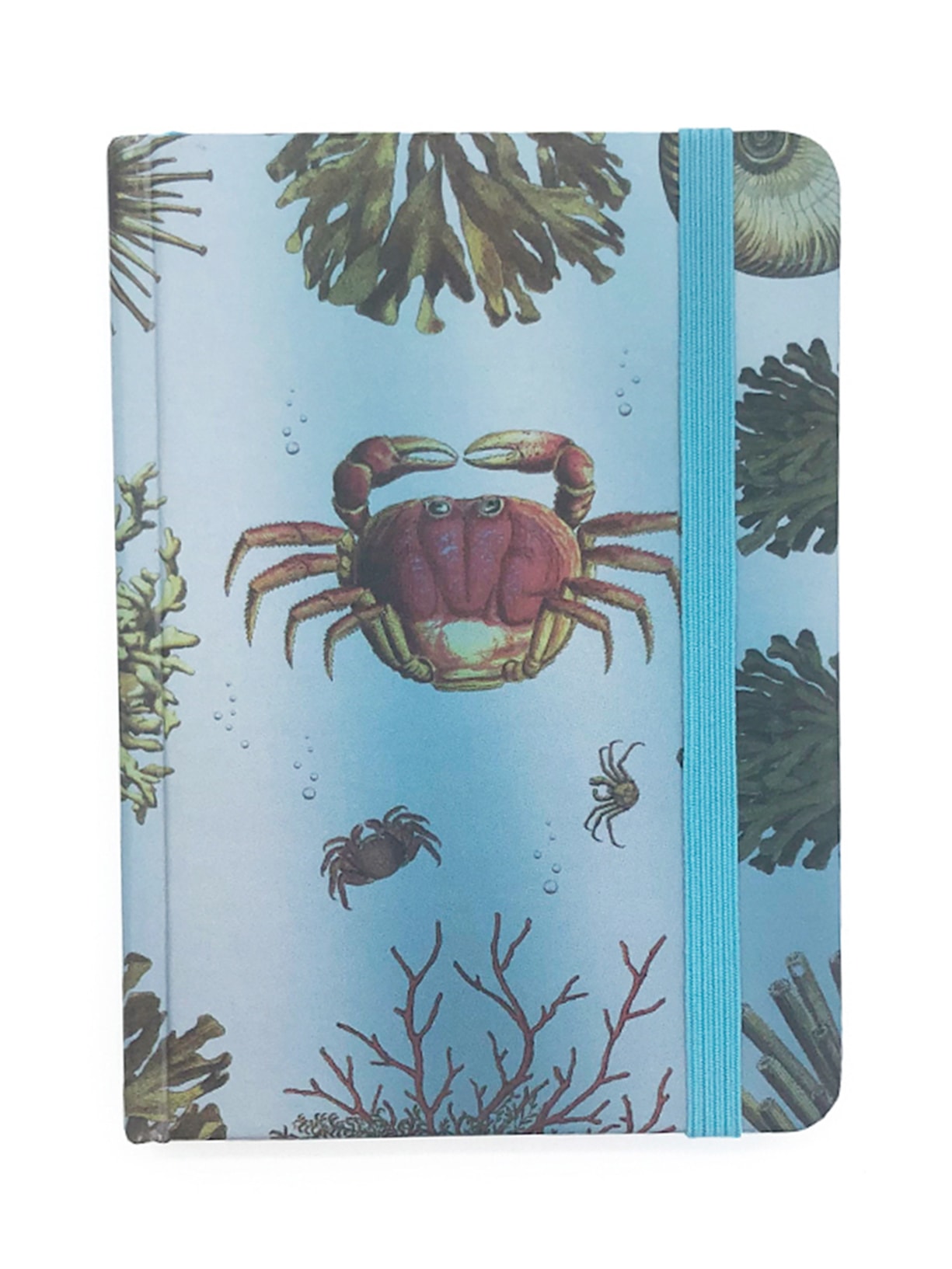 Caderninho Acqua Caranguejo - Azul