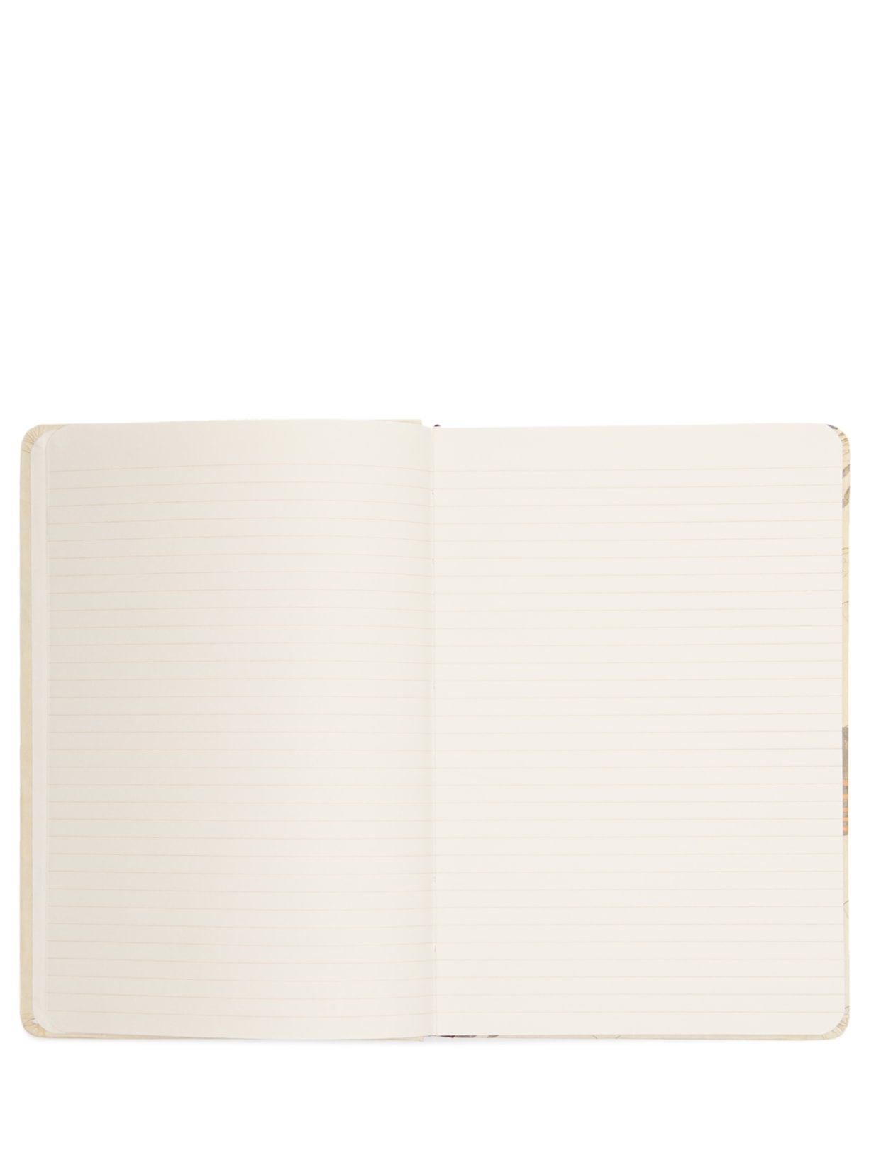 Caderno Inseto Abelha Com Pauta Bege Nina Write