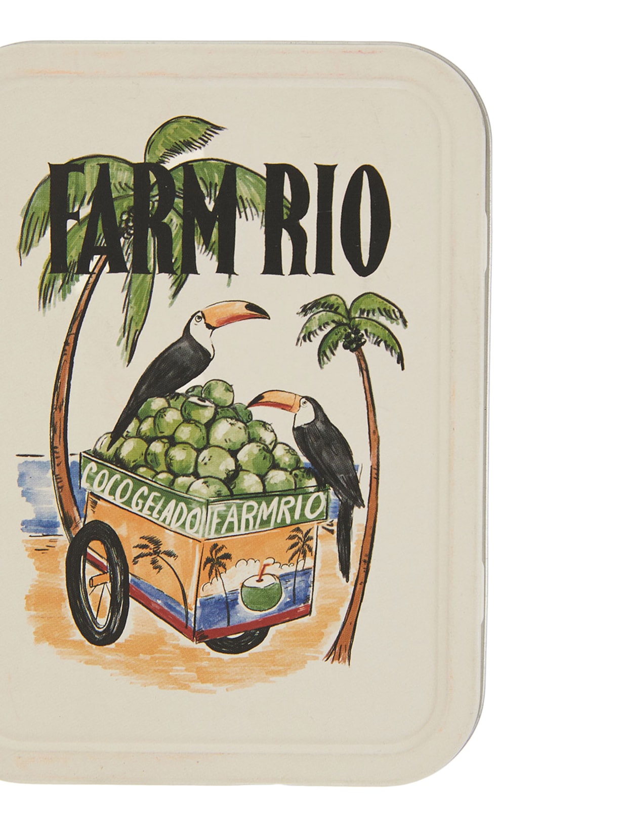 Caixa De Metal Coco Gelado Branco Farm Etc