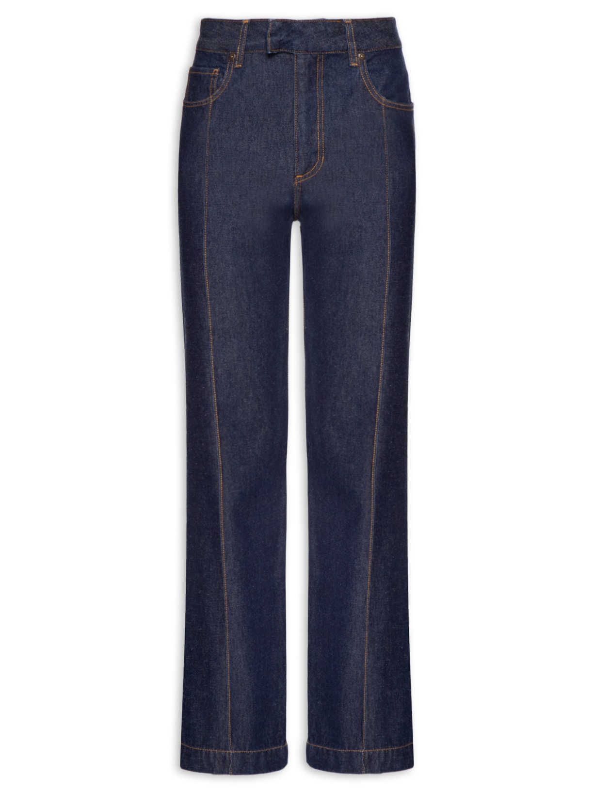 Calça Feminina Electra Azul Carol Bassi