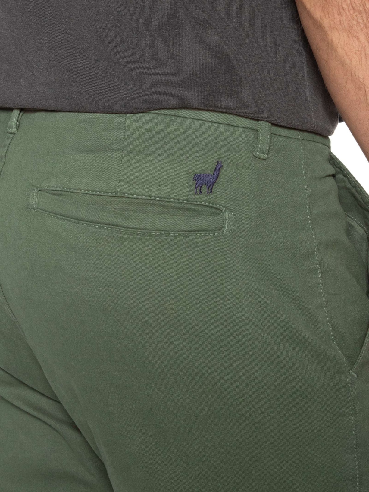 Calça Masculina Chino Verde Zapalla