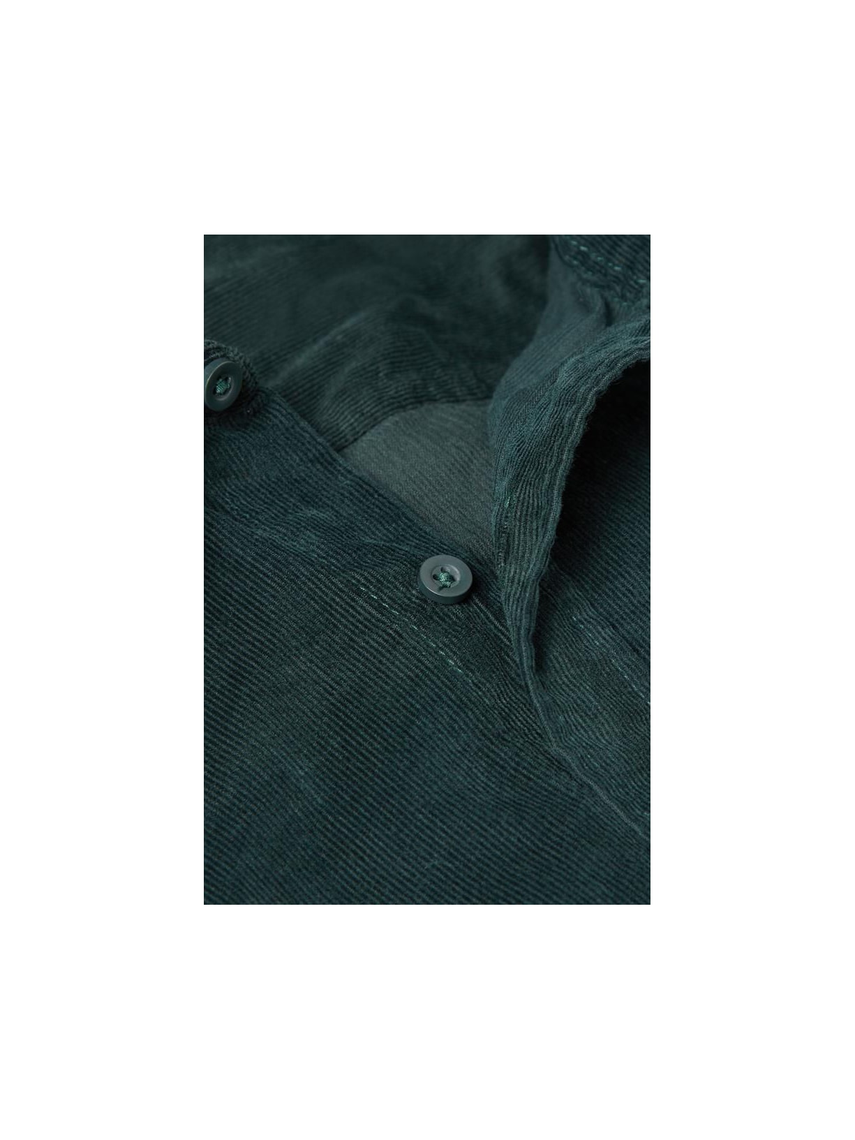 Camisa Em Veludo Canelado Verde Intimissimi