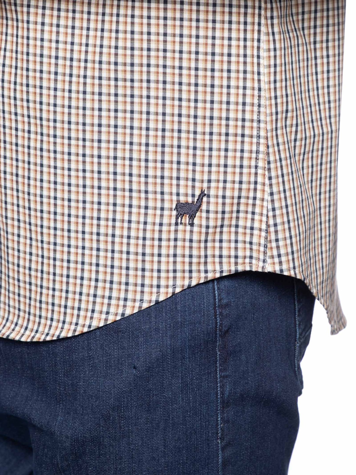 Camisa Masculina Button Down Vichy Bege Zapalla