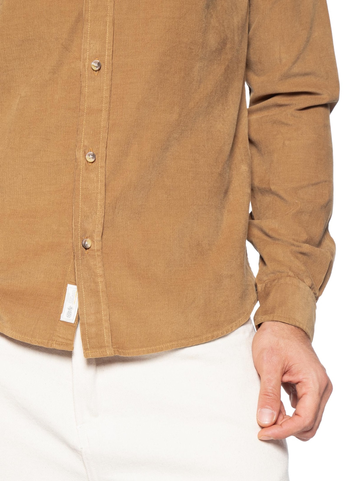 Camisa Masculina Leve Em Veludo Bege Pineapple