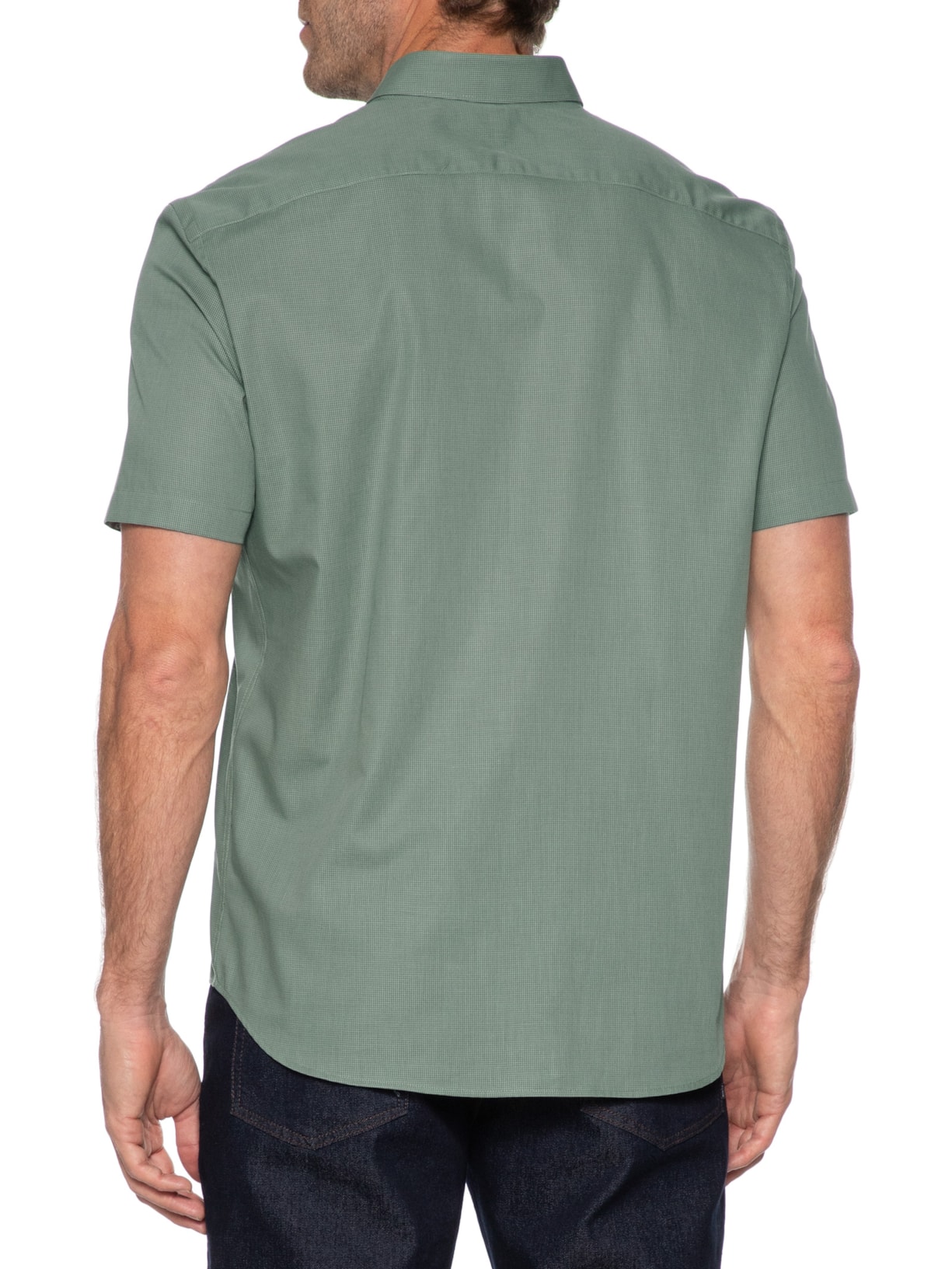 Camisa Masculina Mini Xadrez Verde Aramis