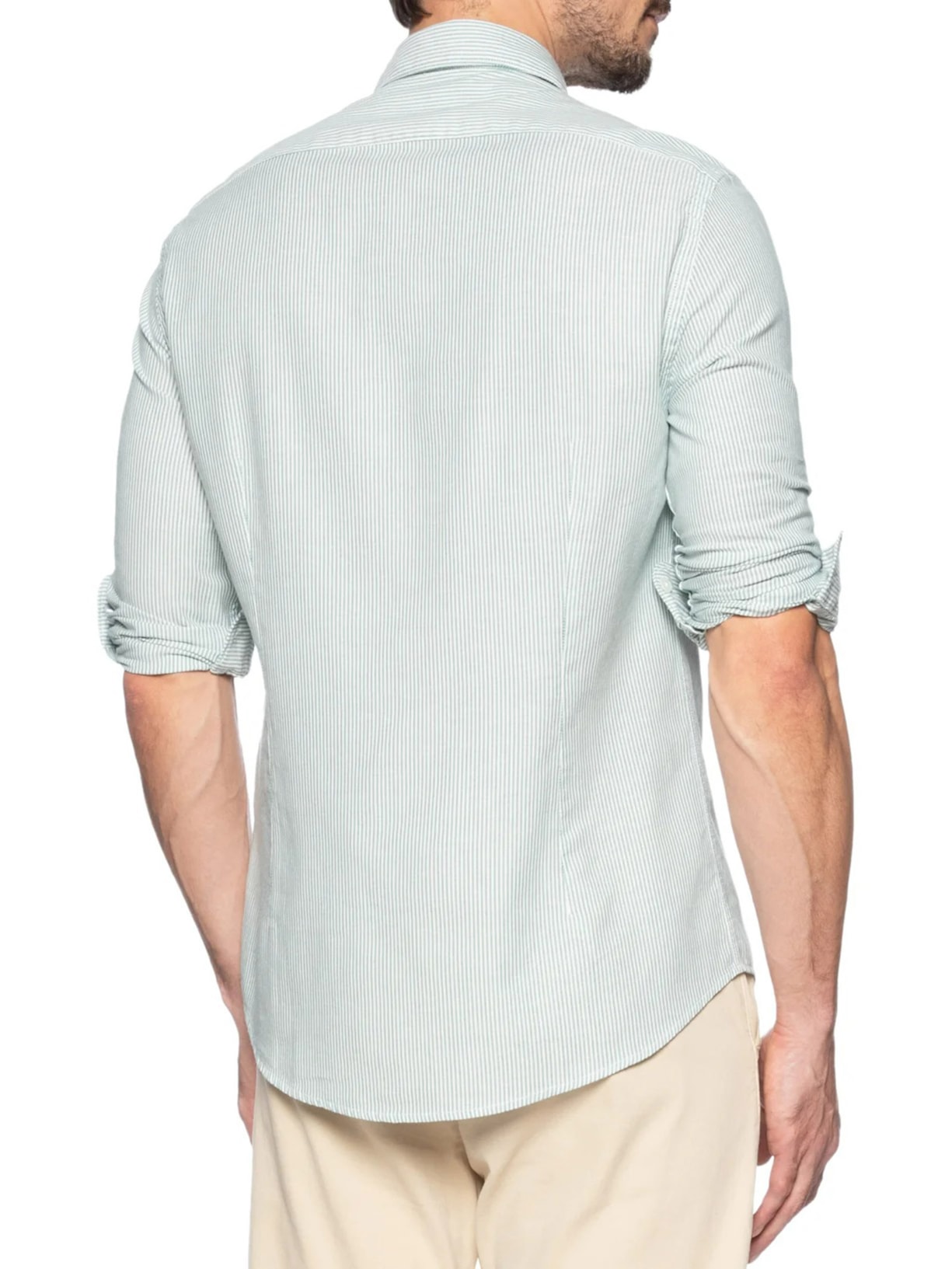 Camisa Masculina Oxford Listrado Verde Aramis