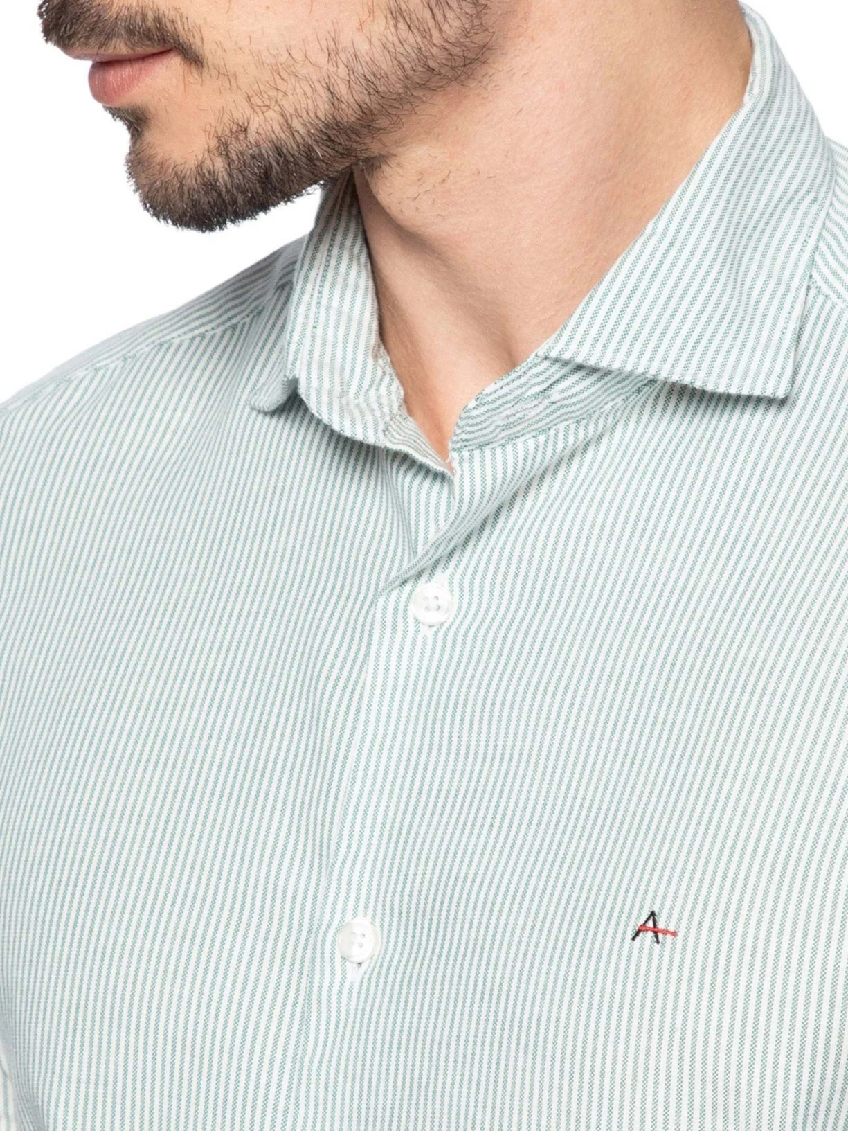 Camisa Masculina Oxford Listrado Verde Aramis
