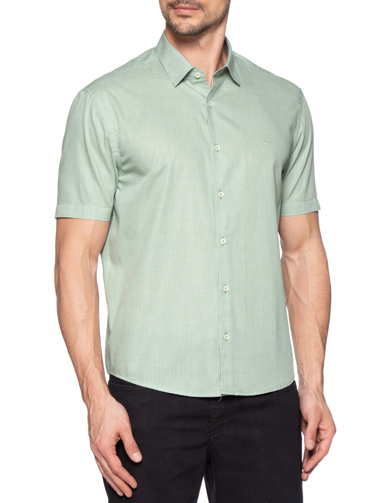 Camisa Masculina Regular Fit Mini Xadrez Verde Aramis