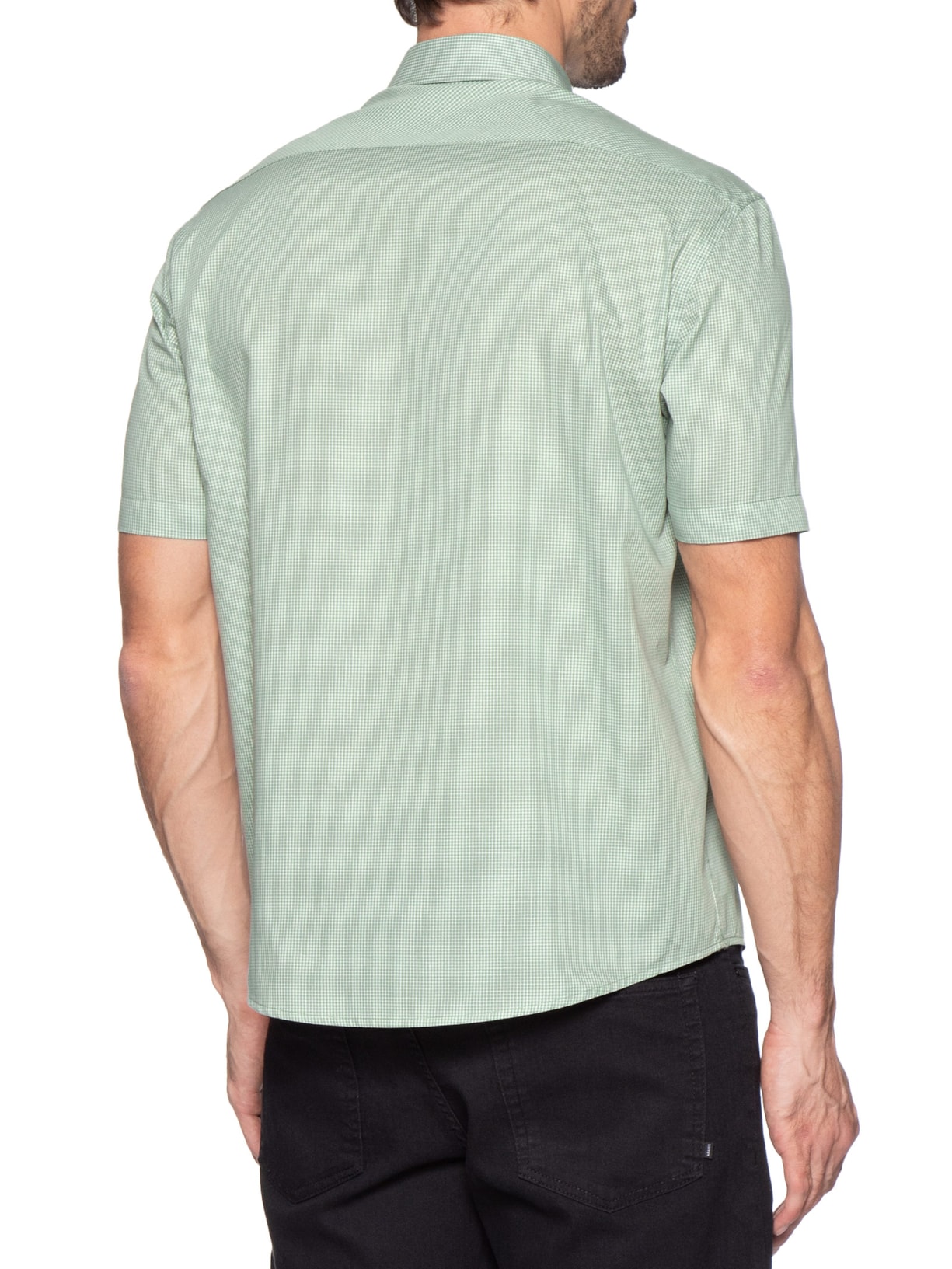 Camisa Masculina Regular Fit Mini Xadrez Verde Aramis