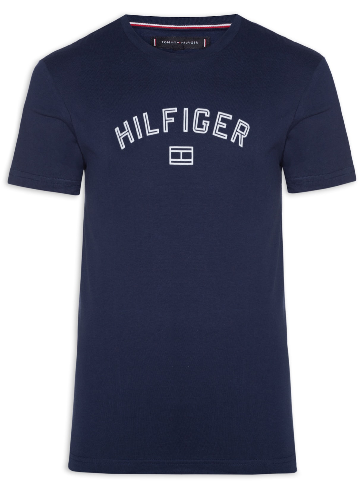 Camiseta Básica Masculina Regular Fit Flock Logo Em Algodão - Azul