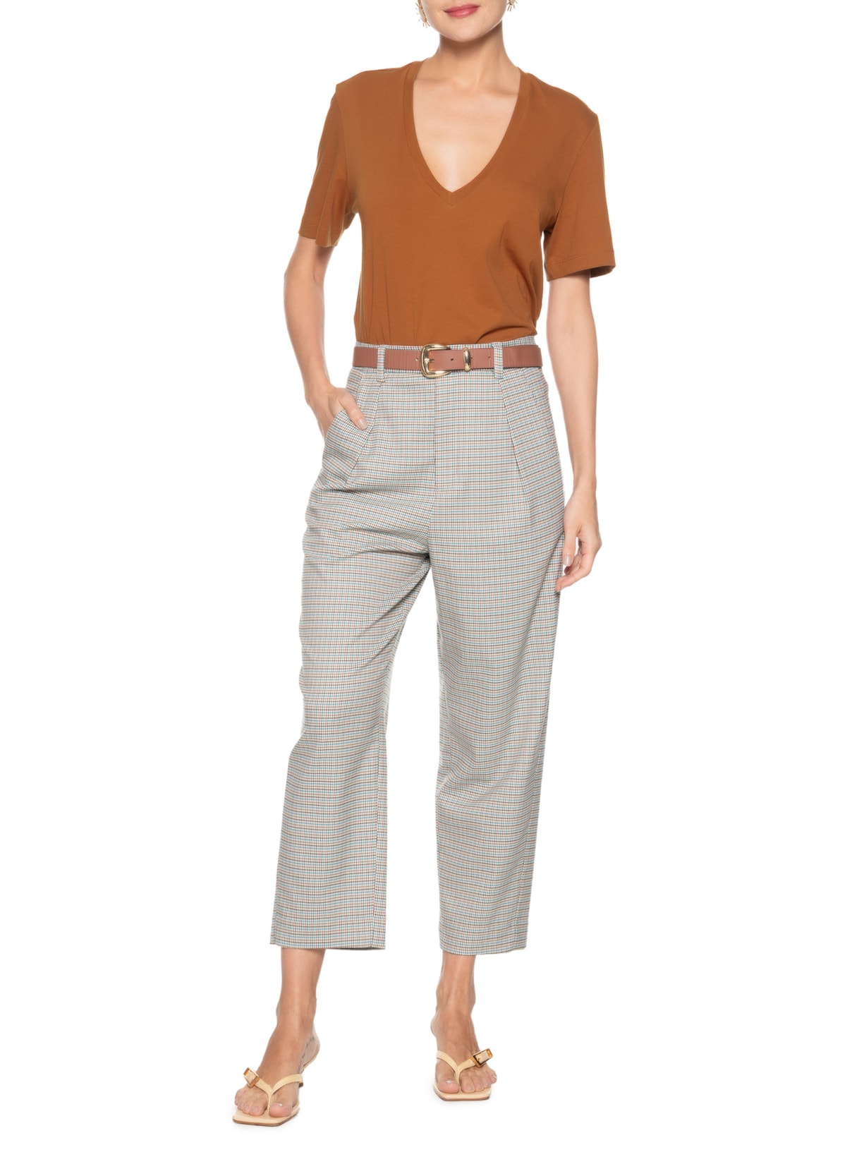Camiseta Feminina Decote V Pima Color Marrom Animale