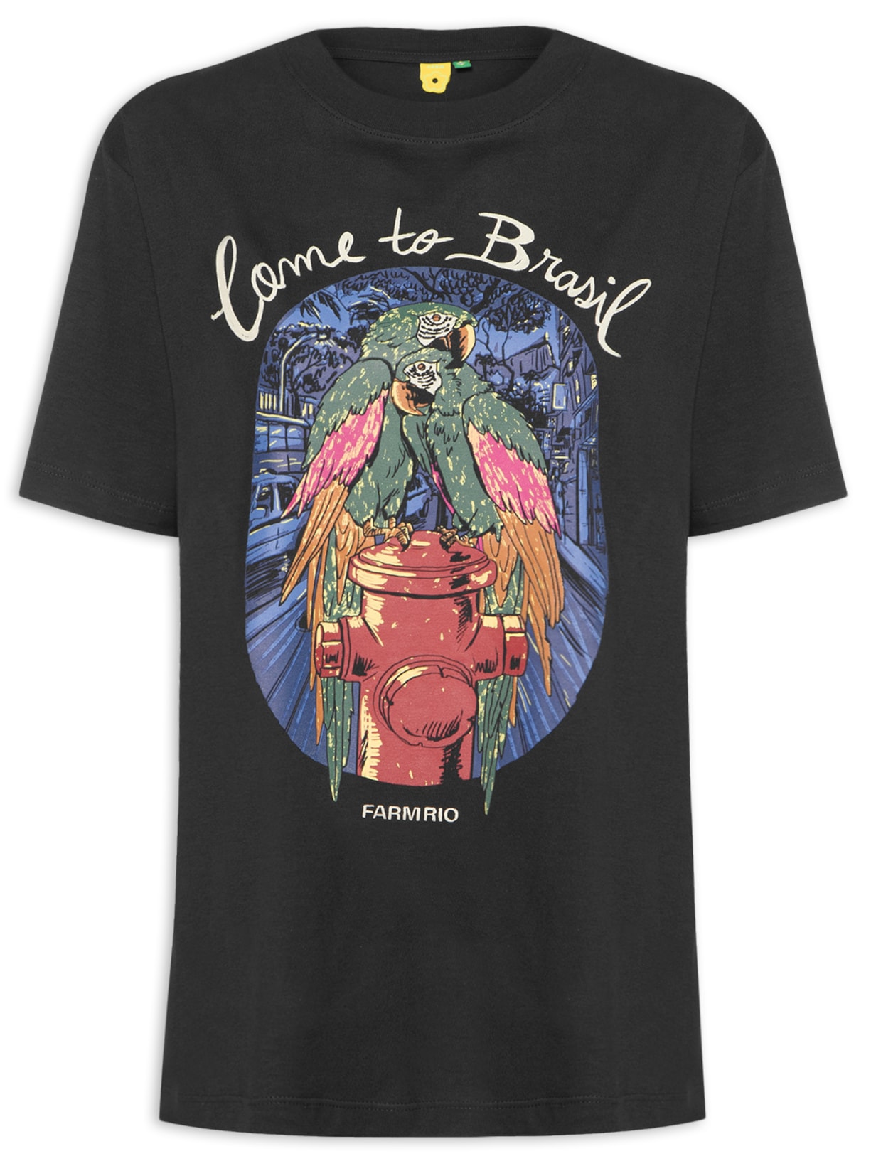 Camiseta Feminina Média Friozinho Bom - Preto