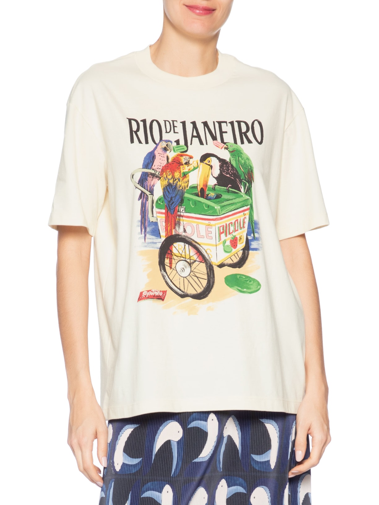 Camiseta Feminina Média Pássaros com Picolé – Bege Farm
