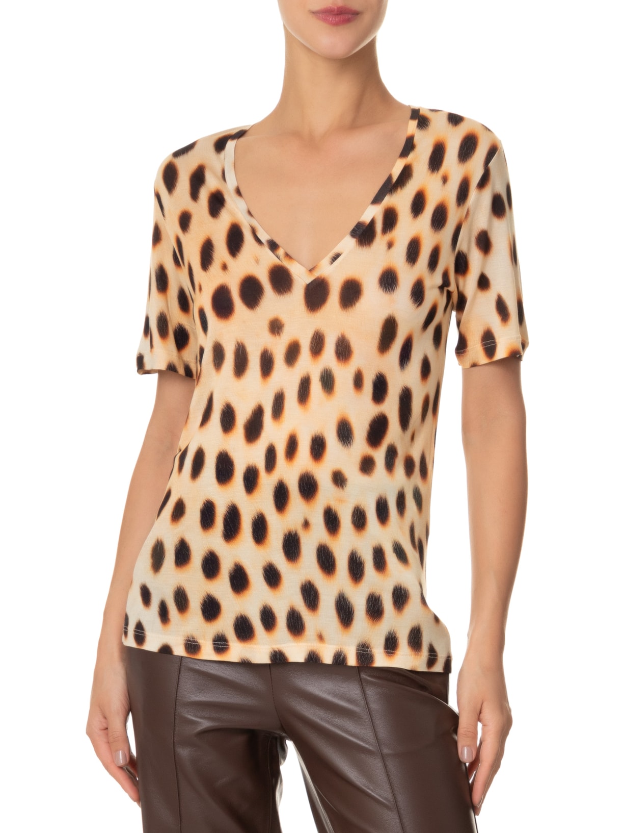 Animale Camiseta Feminina Tee Decote V Manga Curta Onça Oasis