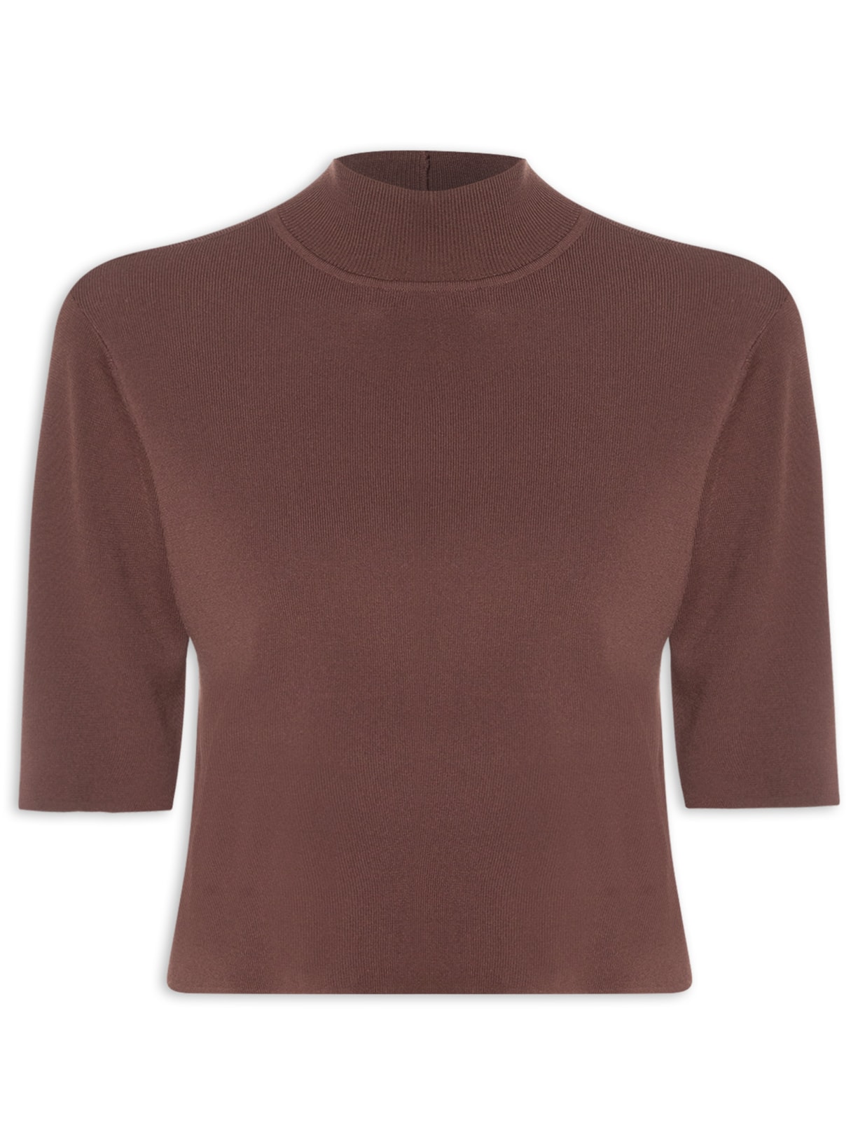 Camiseta Feminina Tricot Básica Gola Alta Color - Marrom