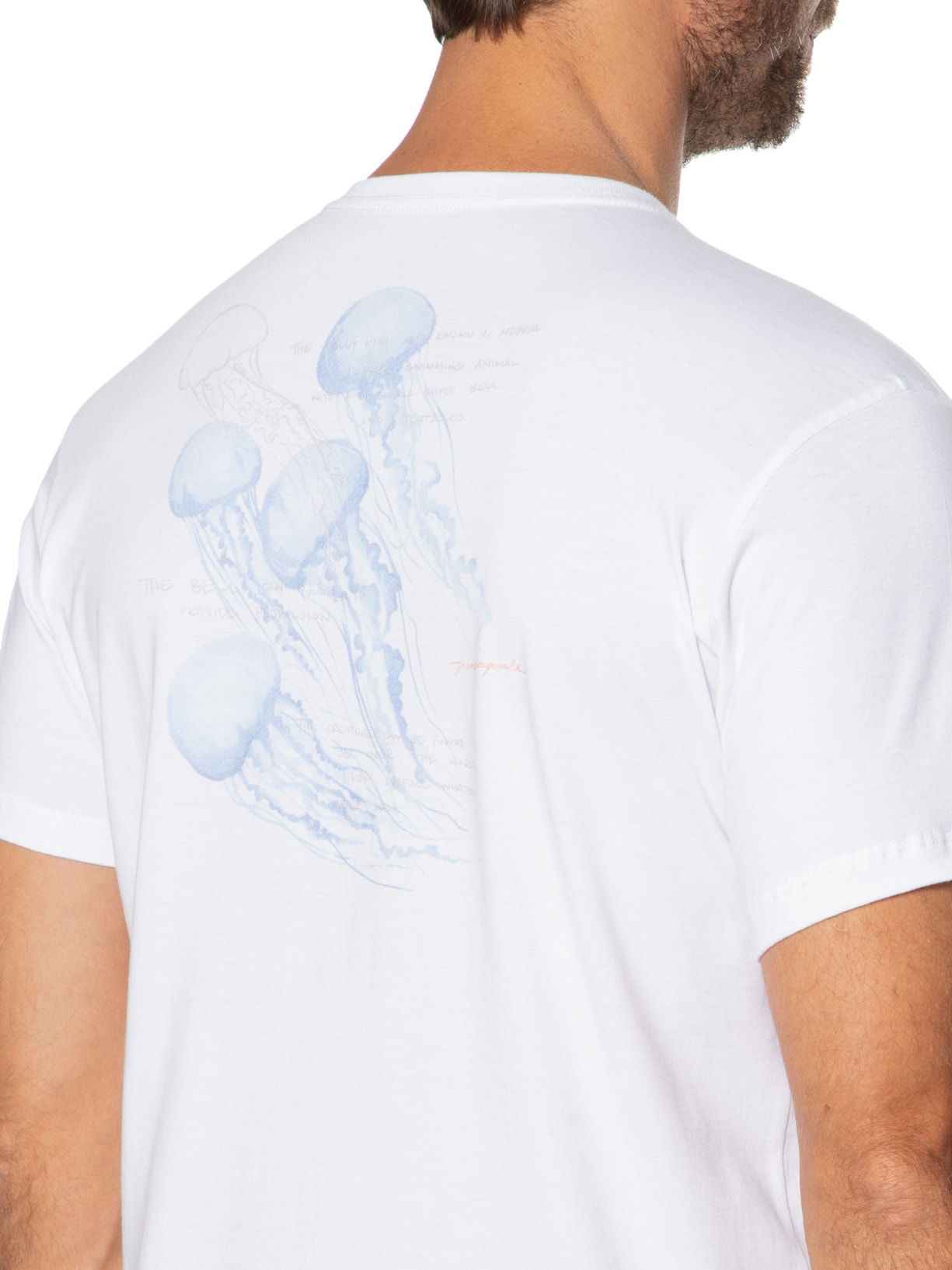 Camiseta Masculina Água Viva Branco Pineapple