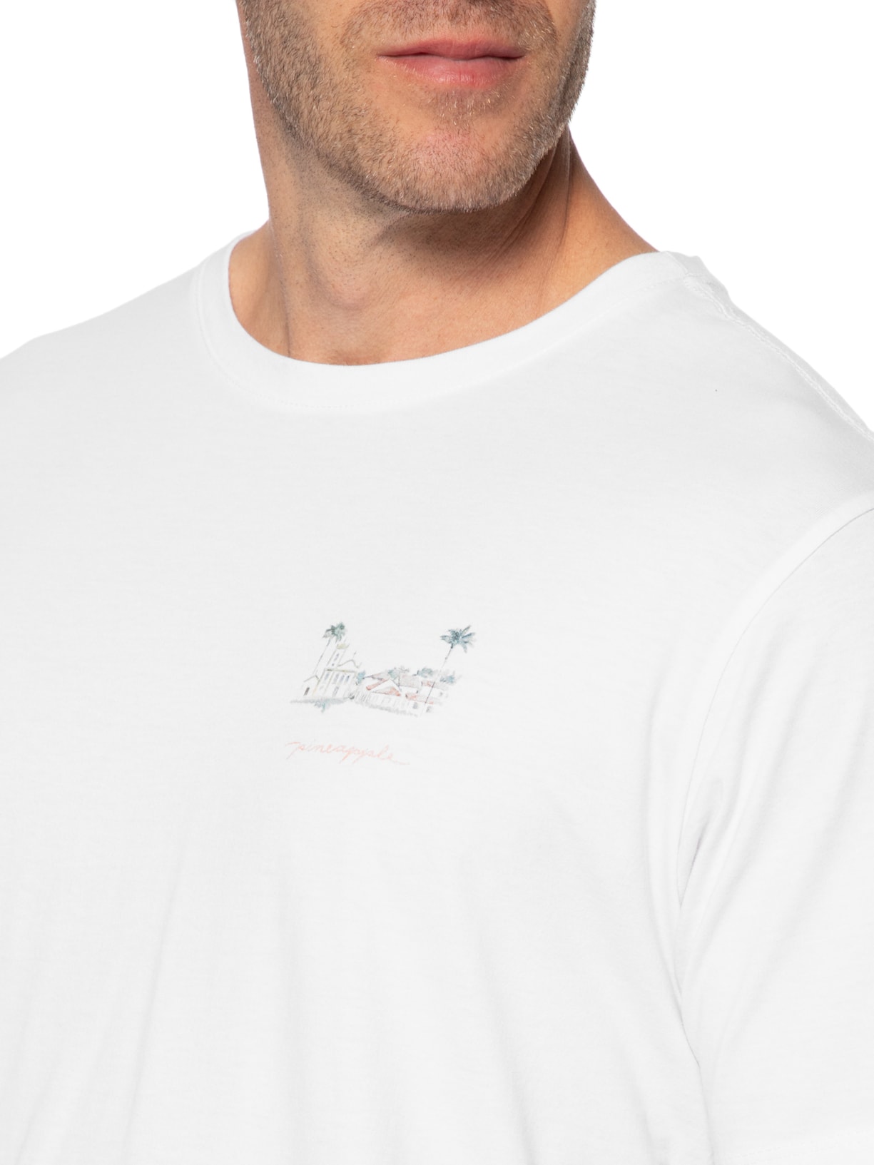 Camiseta Masculina Aquarela Paraty Branco Pineapple