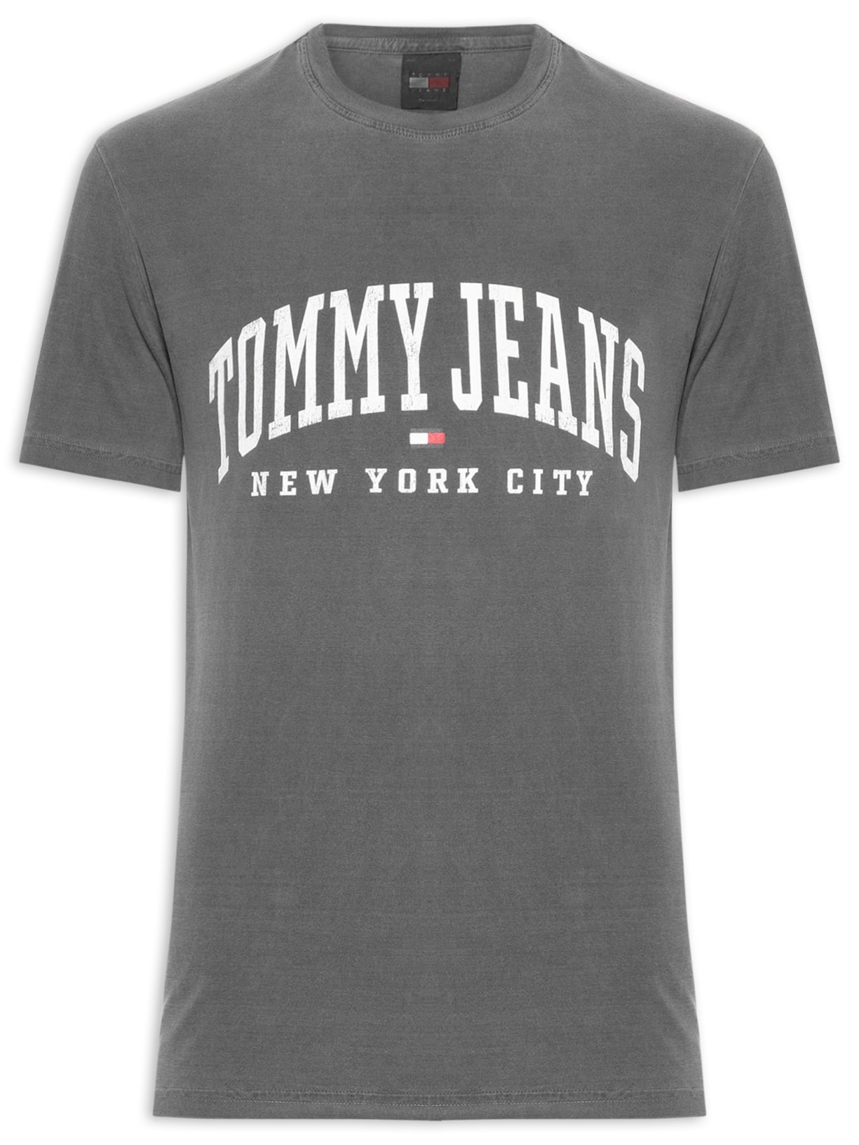 Camiseta Masculina Arc Regular Fit em Algodão Lavado - Cinza