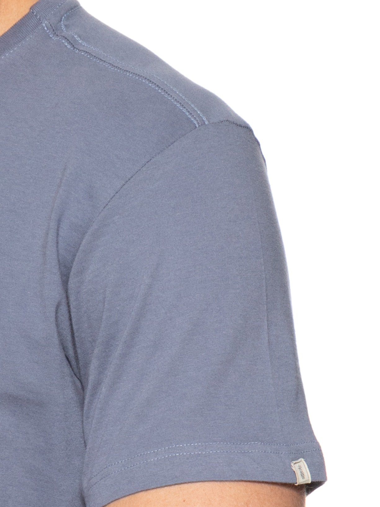 Camiseta Masculina Básica em Algodão Azul Pineapple