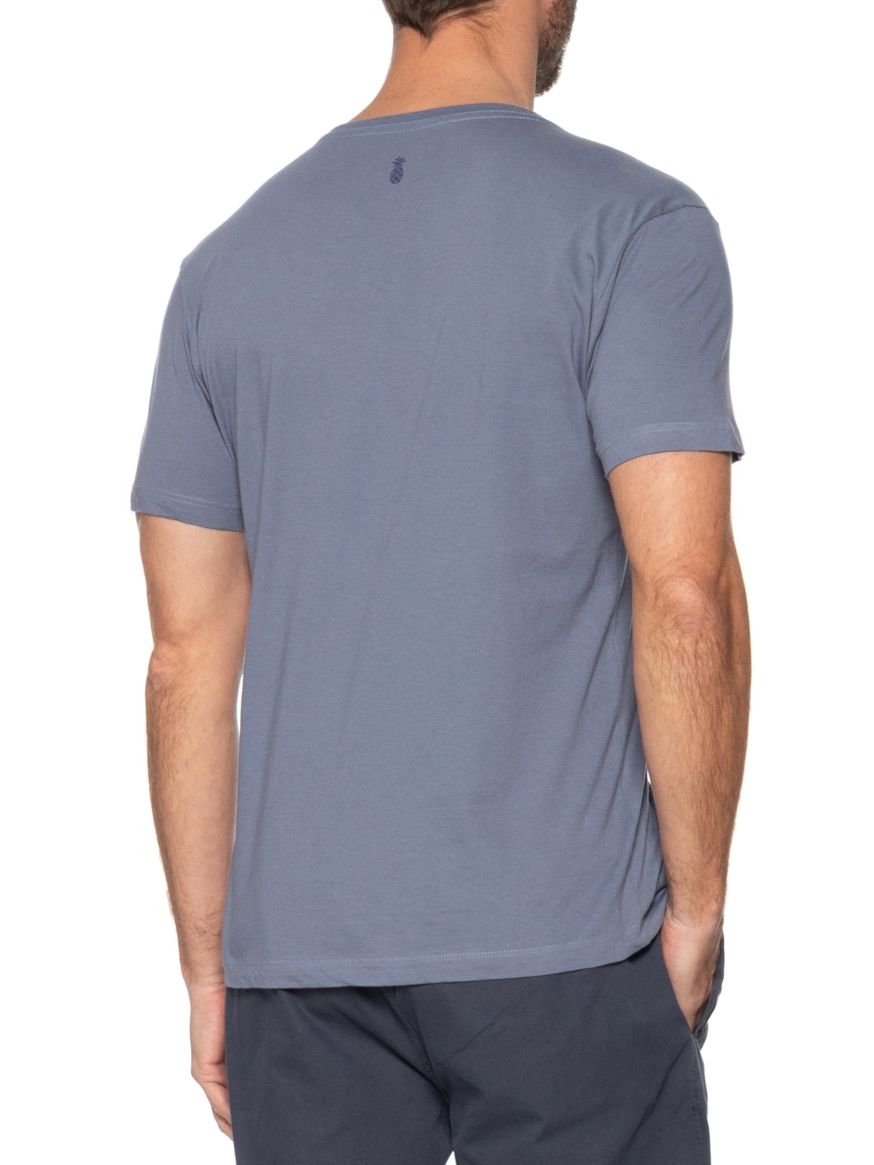 Camiseta Masculina Básica em Algodão Azul Pineapple