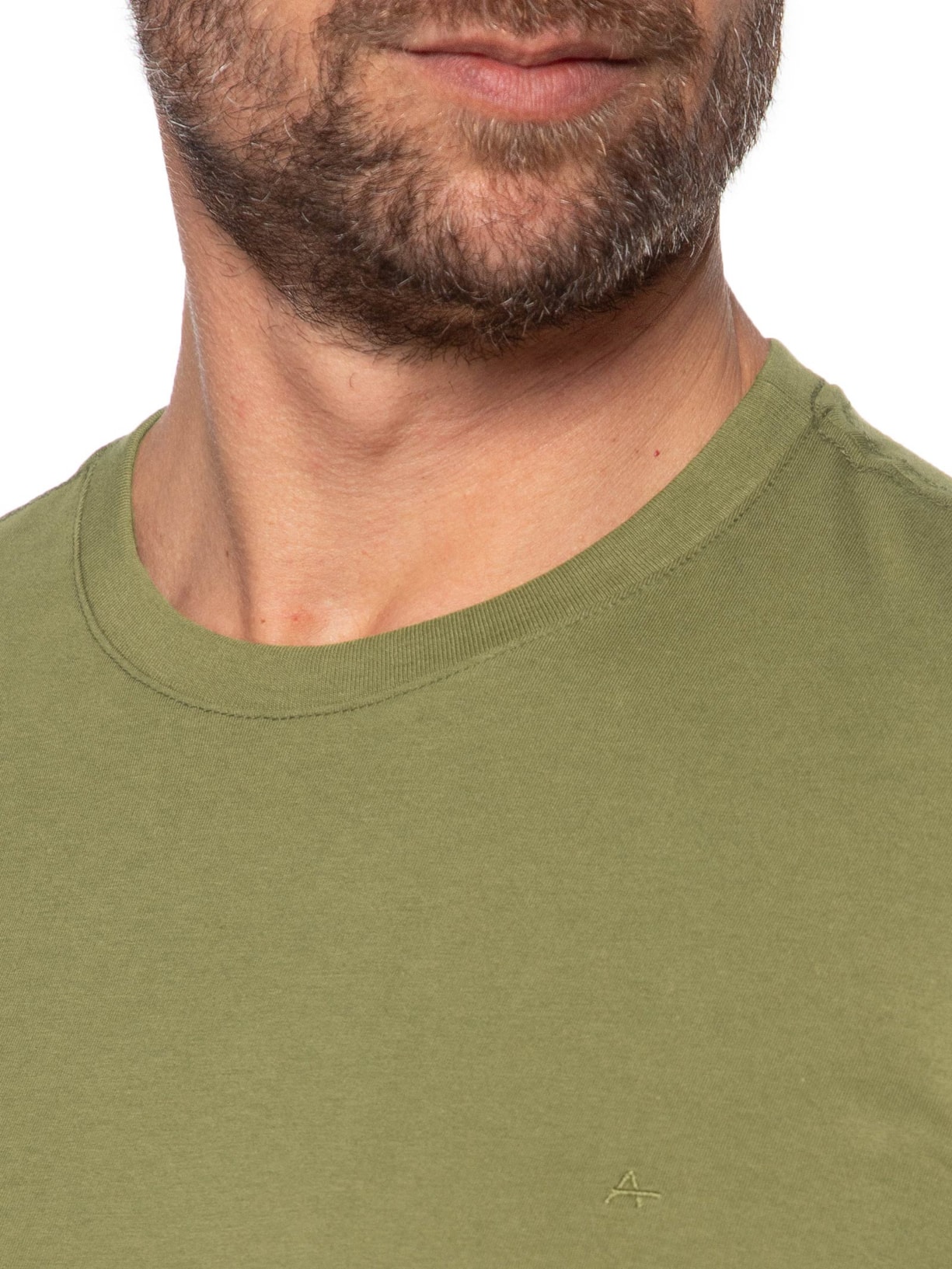 Camiseta Masculina Básica Gola Careca Verde Aramis
