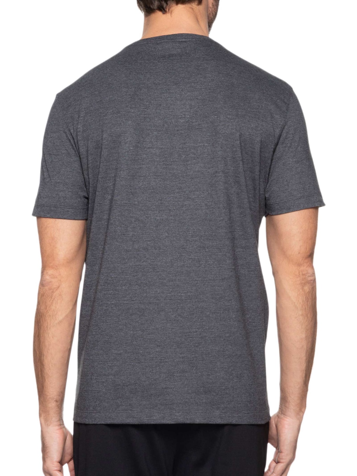 Camiseta Masculina Básica (PA) Cinza Aramis