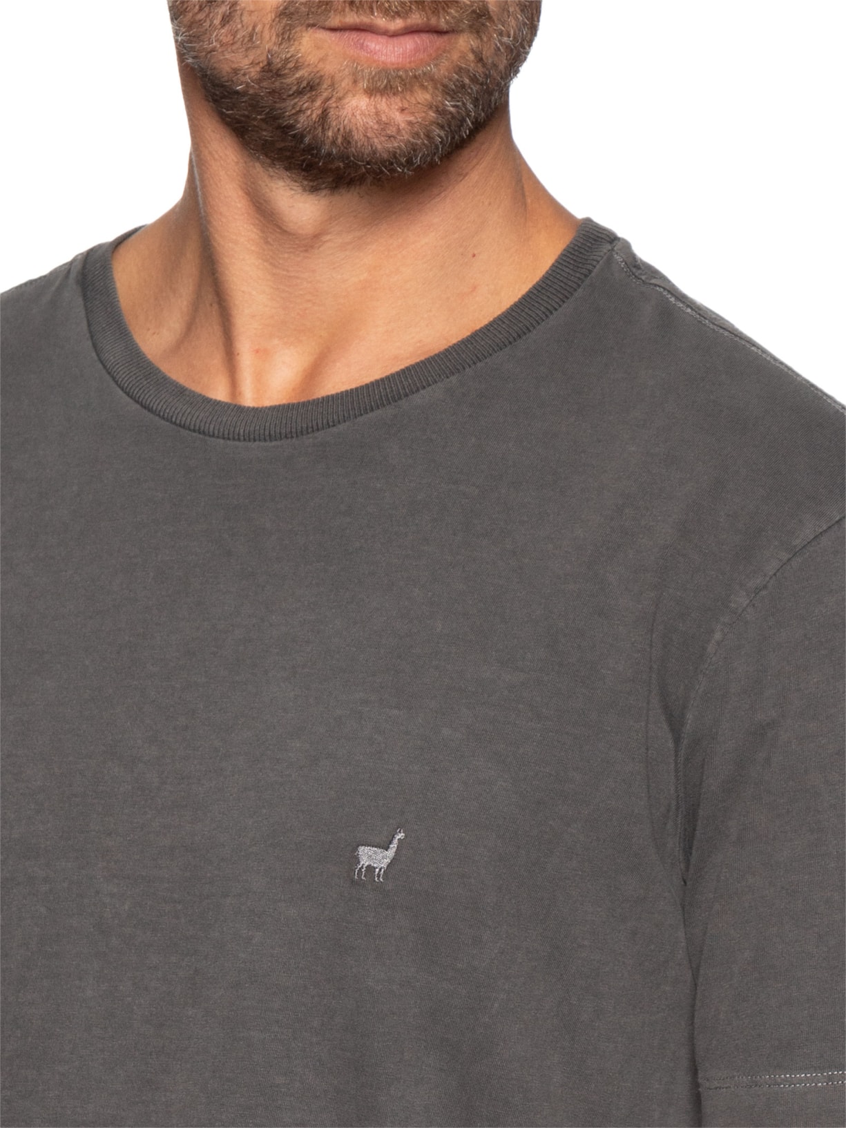 Camiseta Masculina Básica Stone Cinza Zapalla