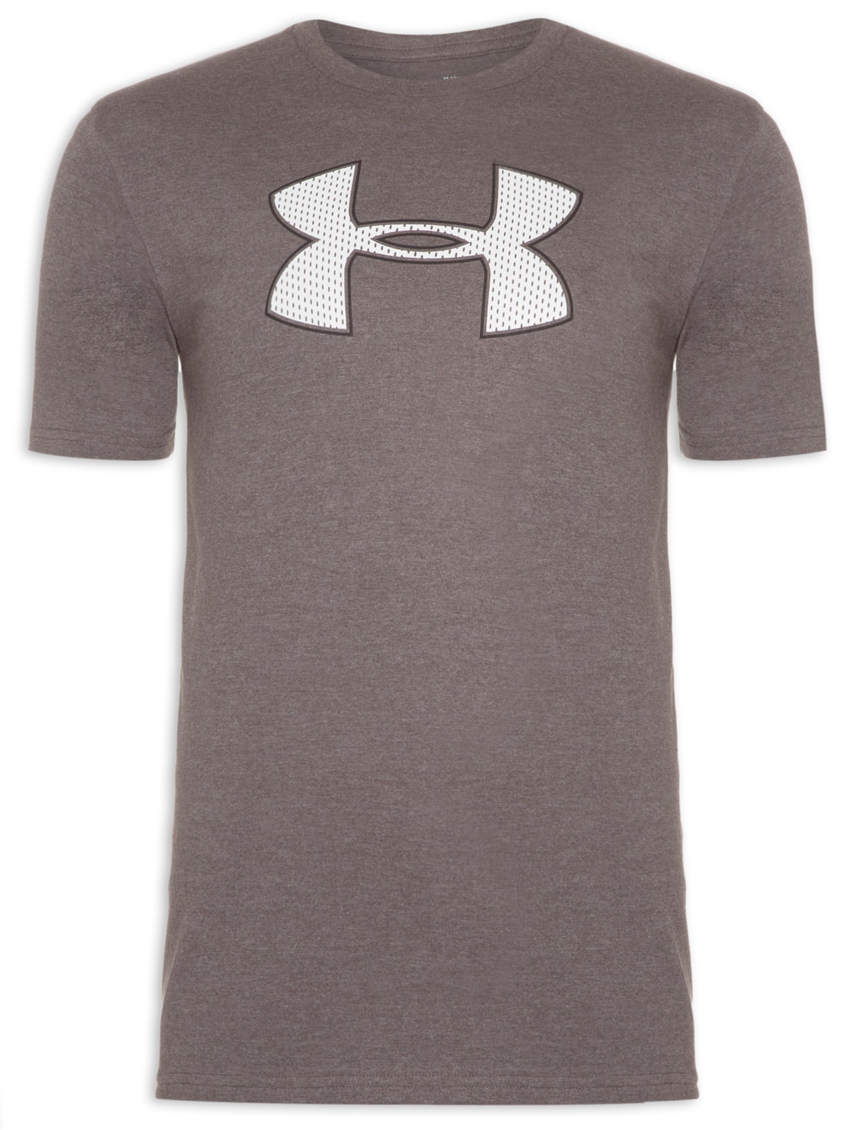 Camiseta Masculina Big Logo - Cinza