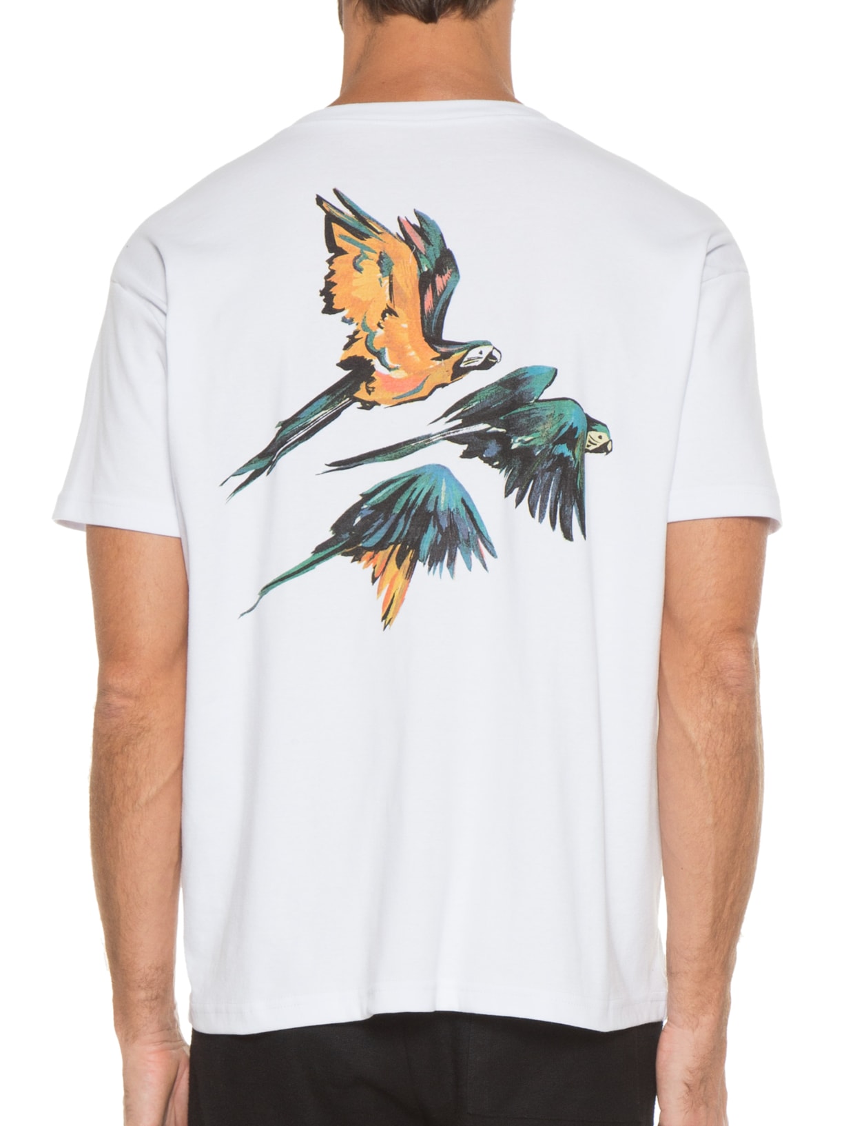 Camiseta Masculina Big Shirt Arara Azul Branco Osklen