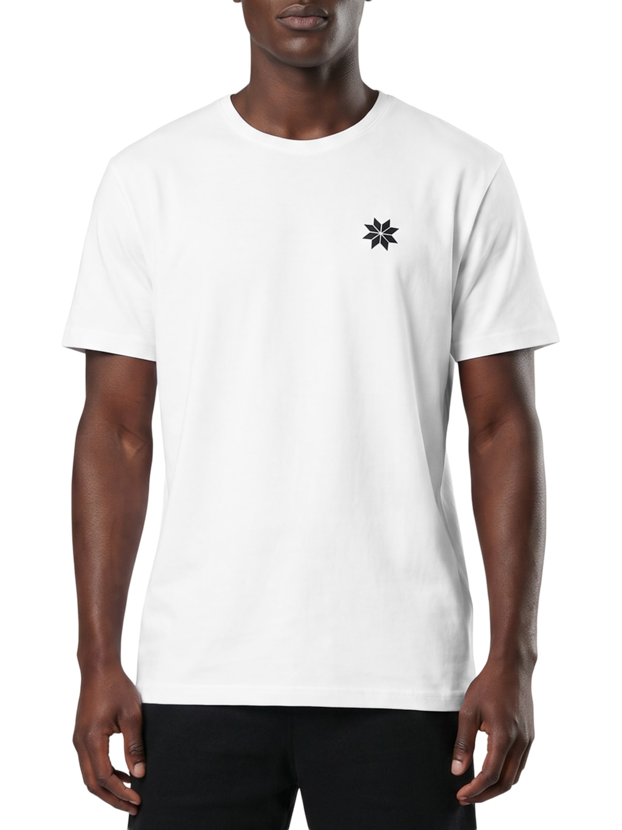 Camiseta Masculina Big-Shirt Mountain Range Branco Osklen