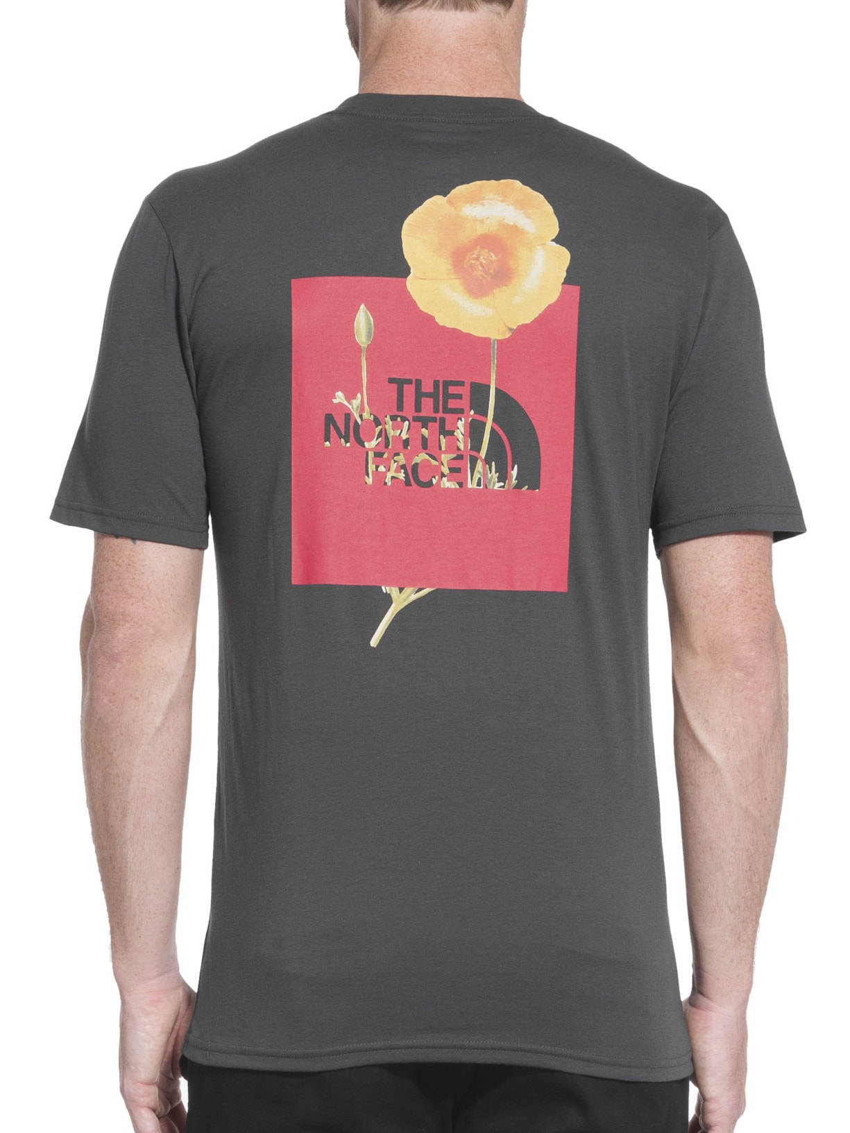 Camiseta Masculina Bottle Source Red Box Preto The North Face